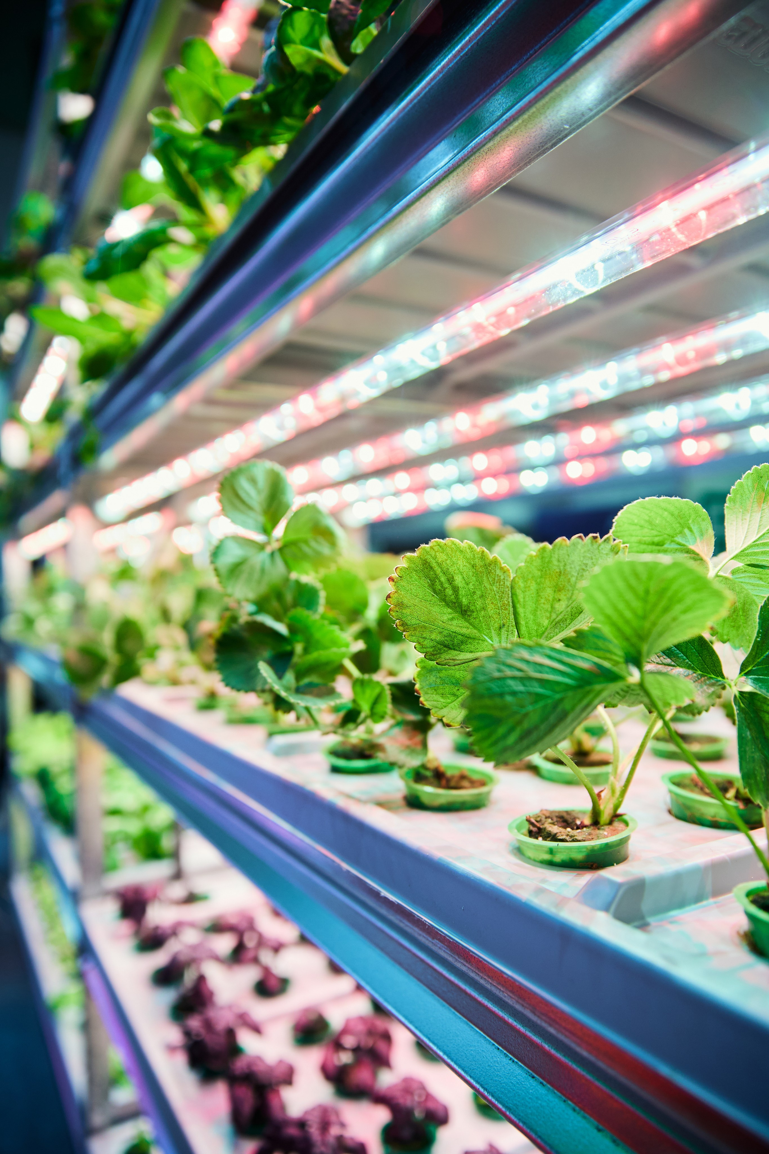 35. Фотограф Недорез Александр в Москве. Репортаж на ваших мероприятиях