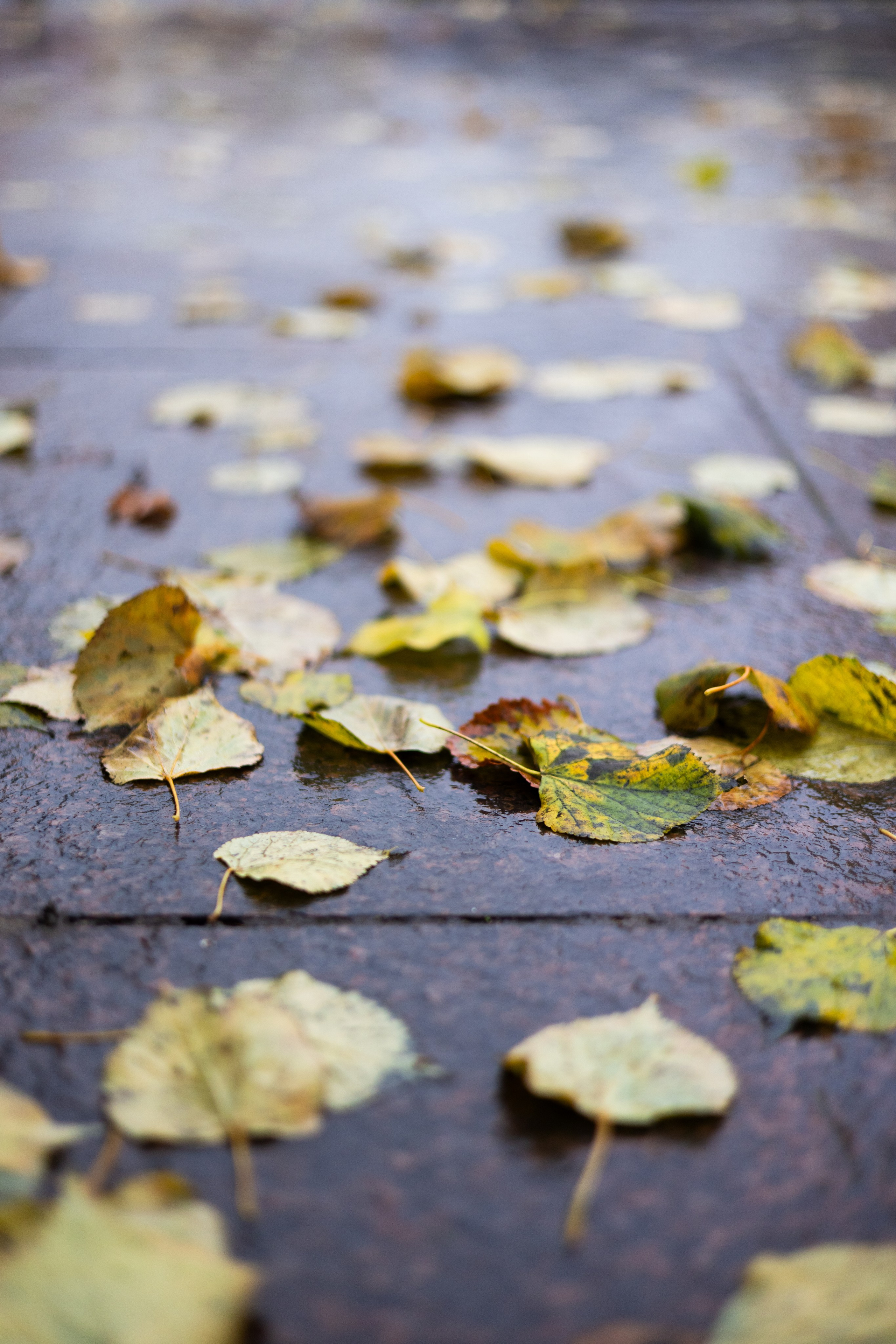 Фотосессия выписки из роддома на Фурштатской. Татьяна Нагорнова — семейный фотограф в Санкт-Петербурге