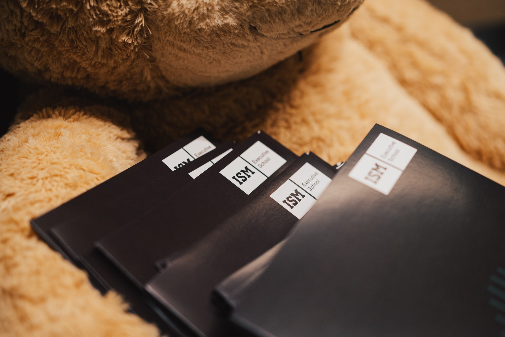 ISM (Graduation Ceremony). Photographer in Vilnius