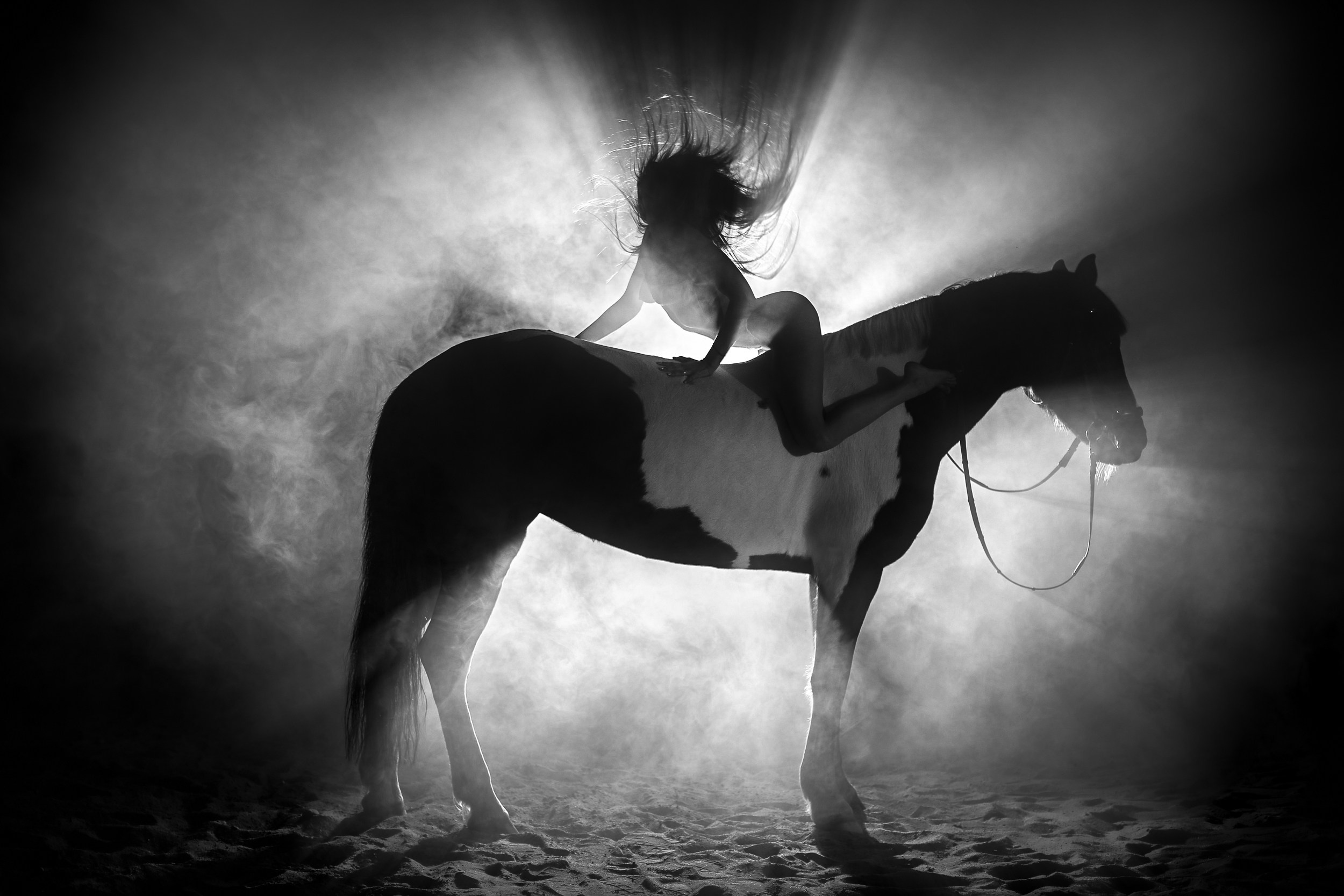 Фотосессия с лошадьми, Фотограф Михаил Семенов г. Ярославль