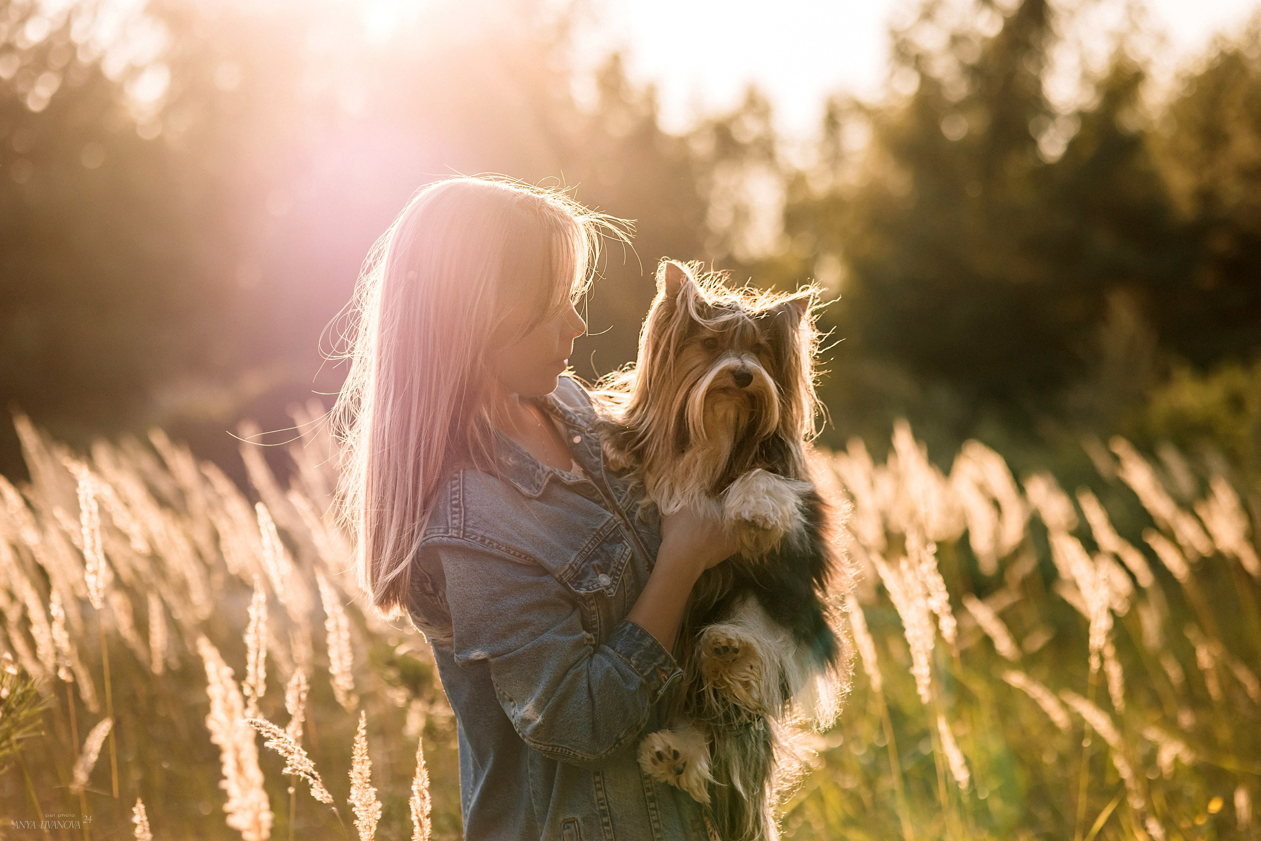 Катя и йорки. Фотограф анималист Аня Ливанова | Рыбинск