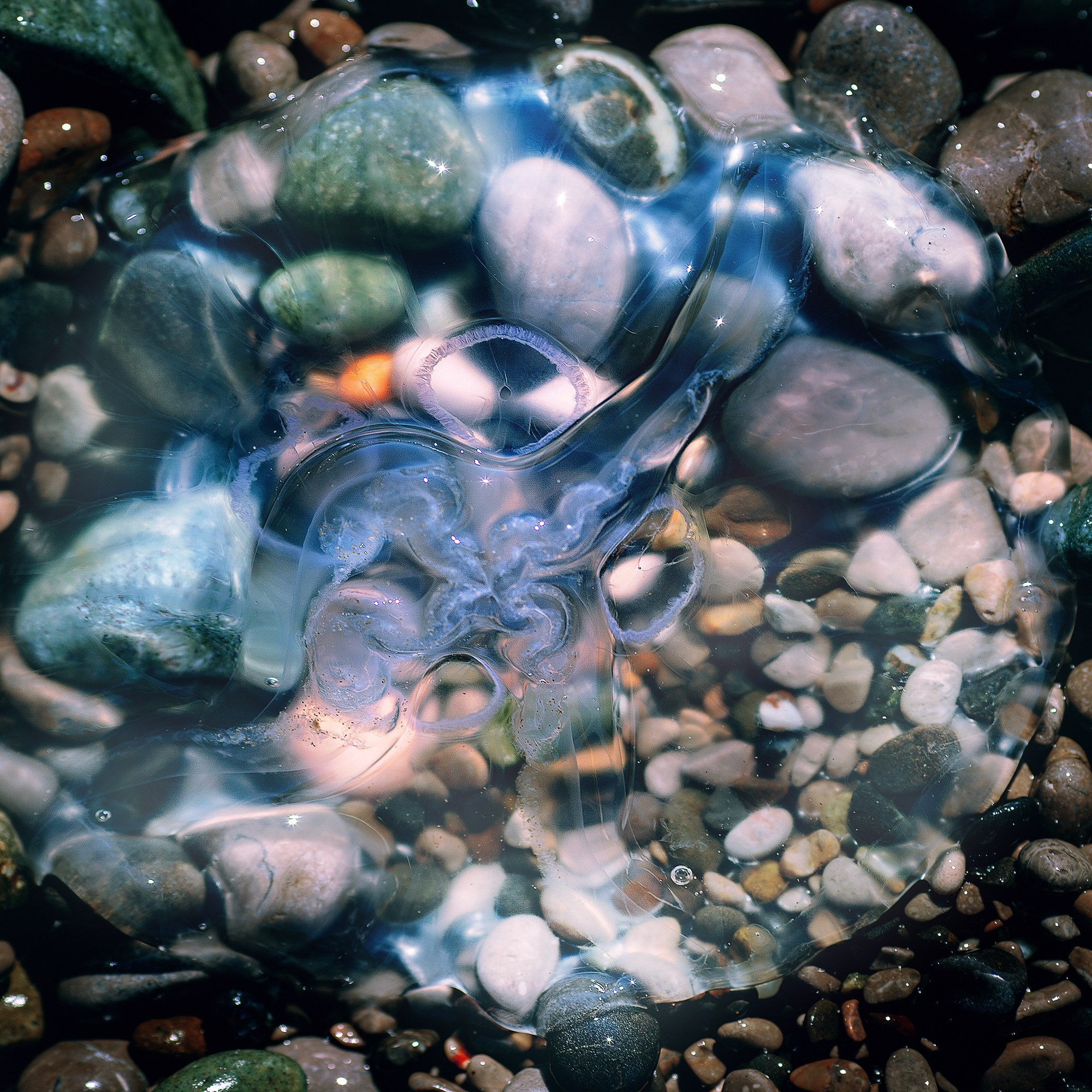 Красота вокруг нас. Медиапродюсер, фотограф в Минеральных Водах —Виктор Холодов