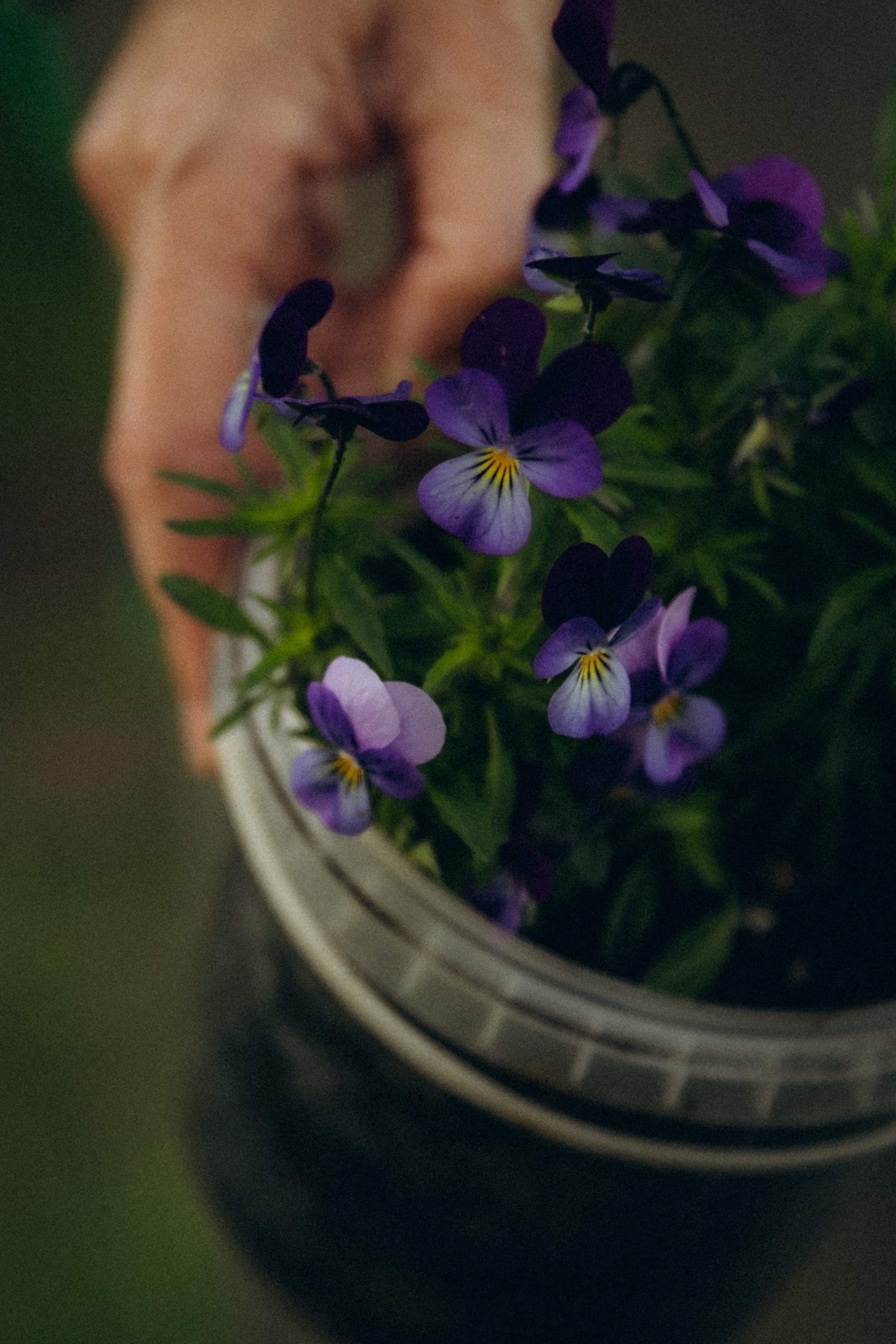 УДачная история. Фотограф  Челябинск Варвара Шарапова