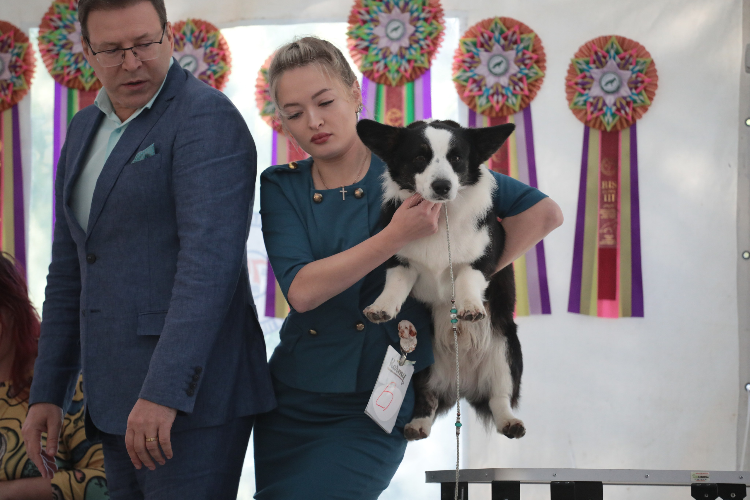 Выставка собак РКФ. Фотограф Екатерина Козловская