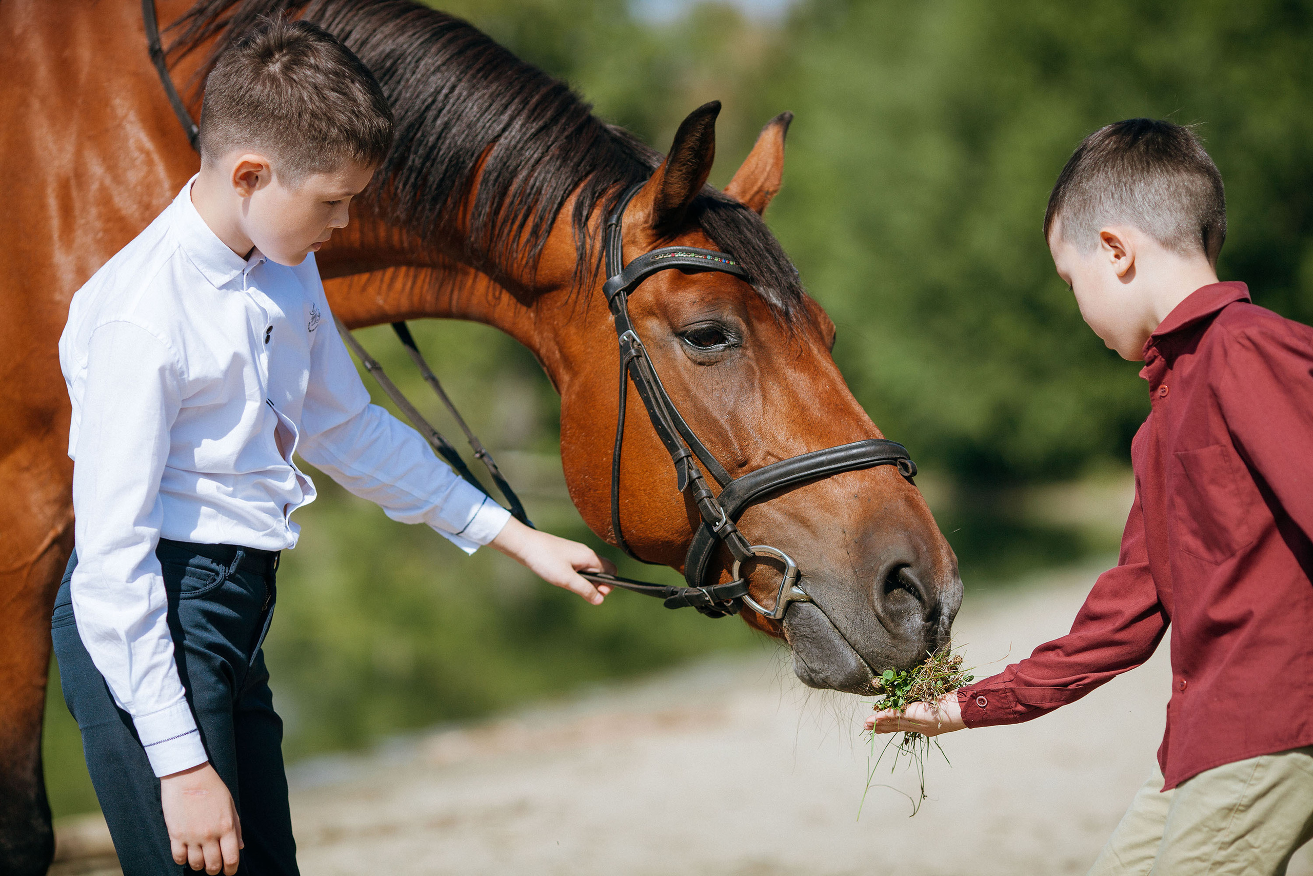 Детская съемка. Конный фотограф в Челябинске Стромова Ольга