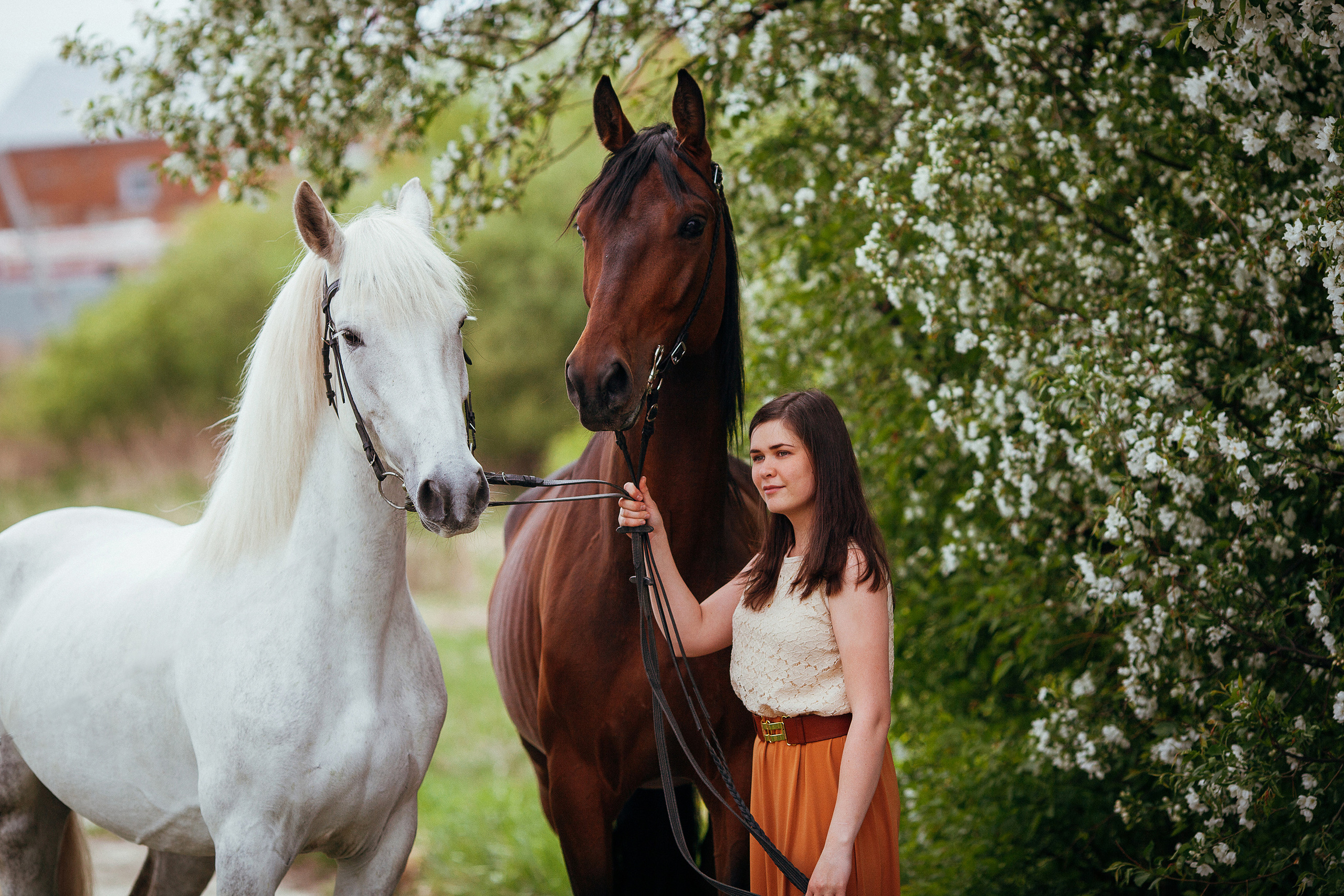 Портретная съемка с лошадью. Конный фотограф в Челябинске Стромова Ольга