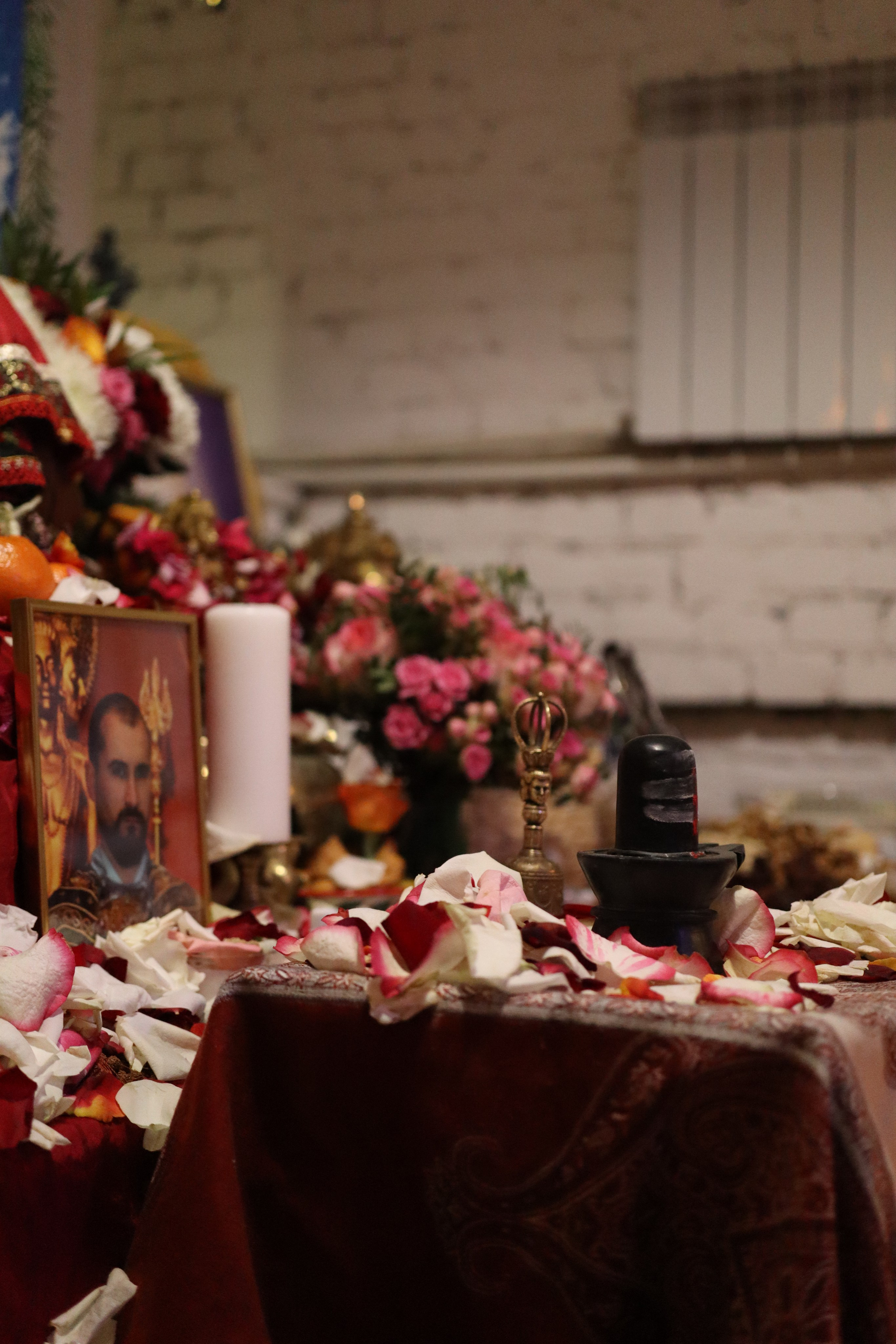 MahaShivaRatri2024. Photo Ninja