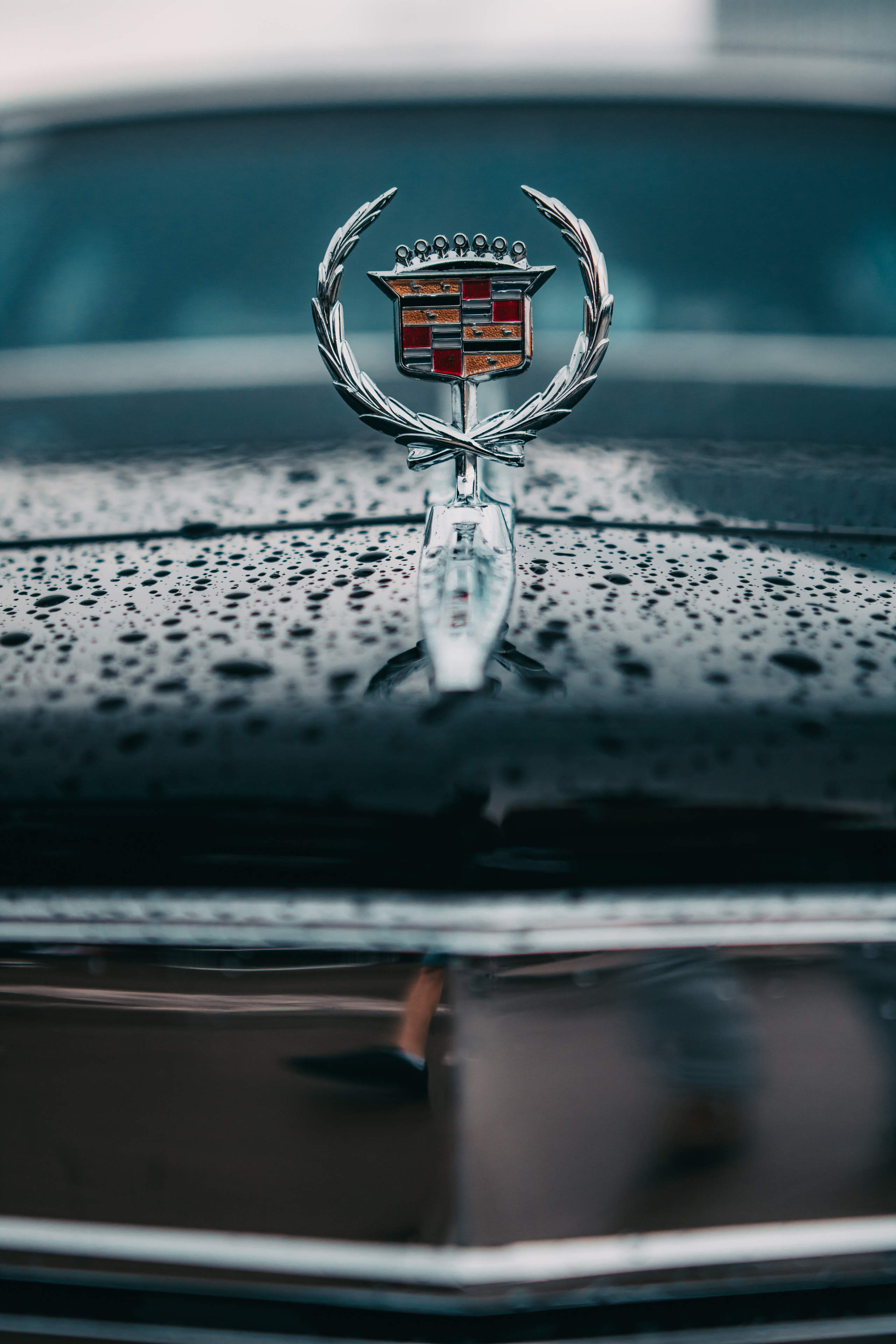 Авто. Photographer Vladislav Voronovich