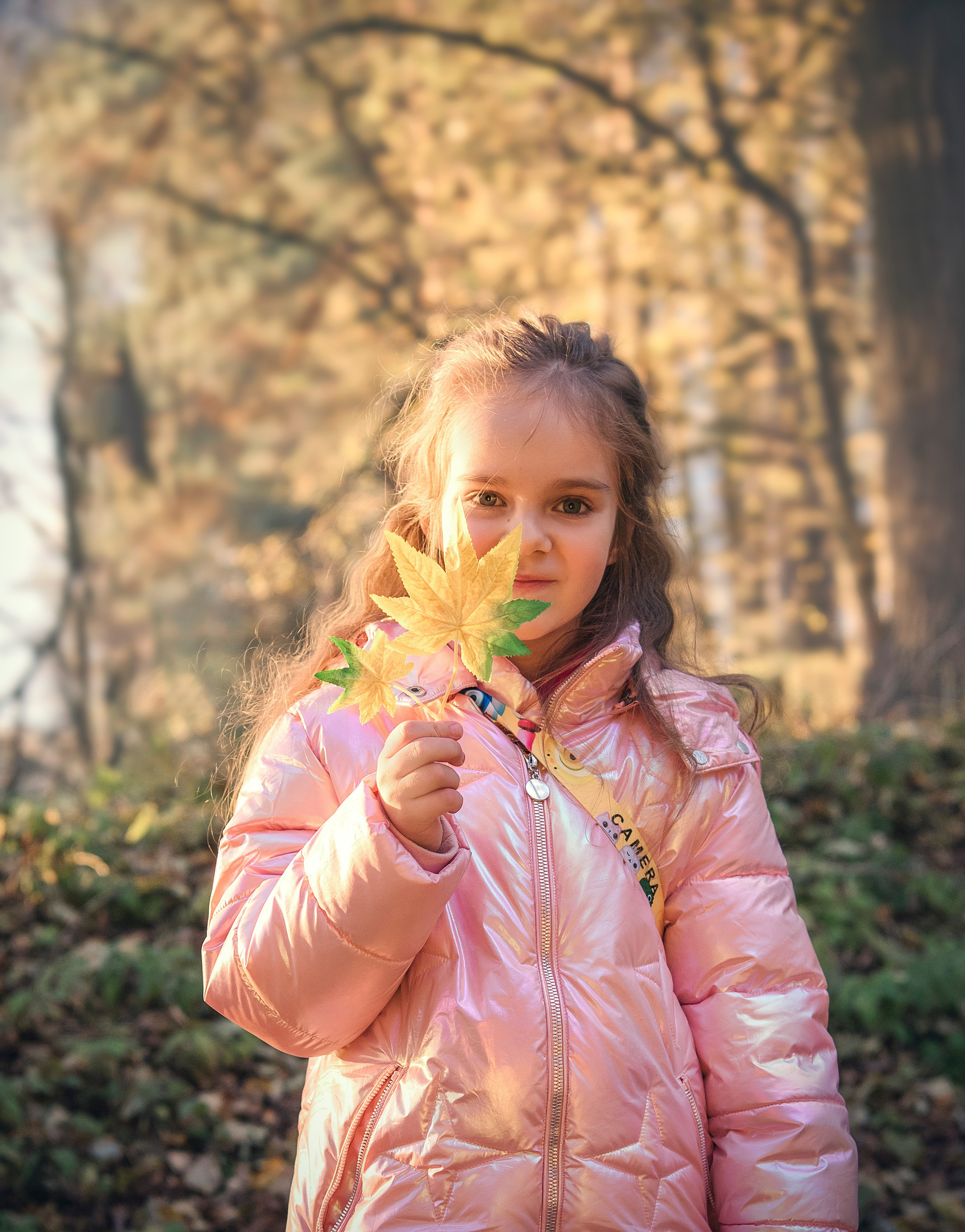 Золотая осень. Семейный и детский фотограф в Москве Алена Прошкина