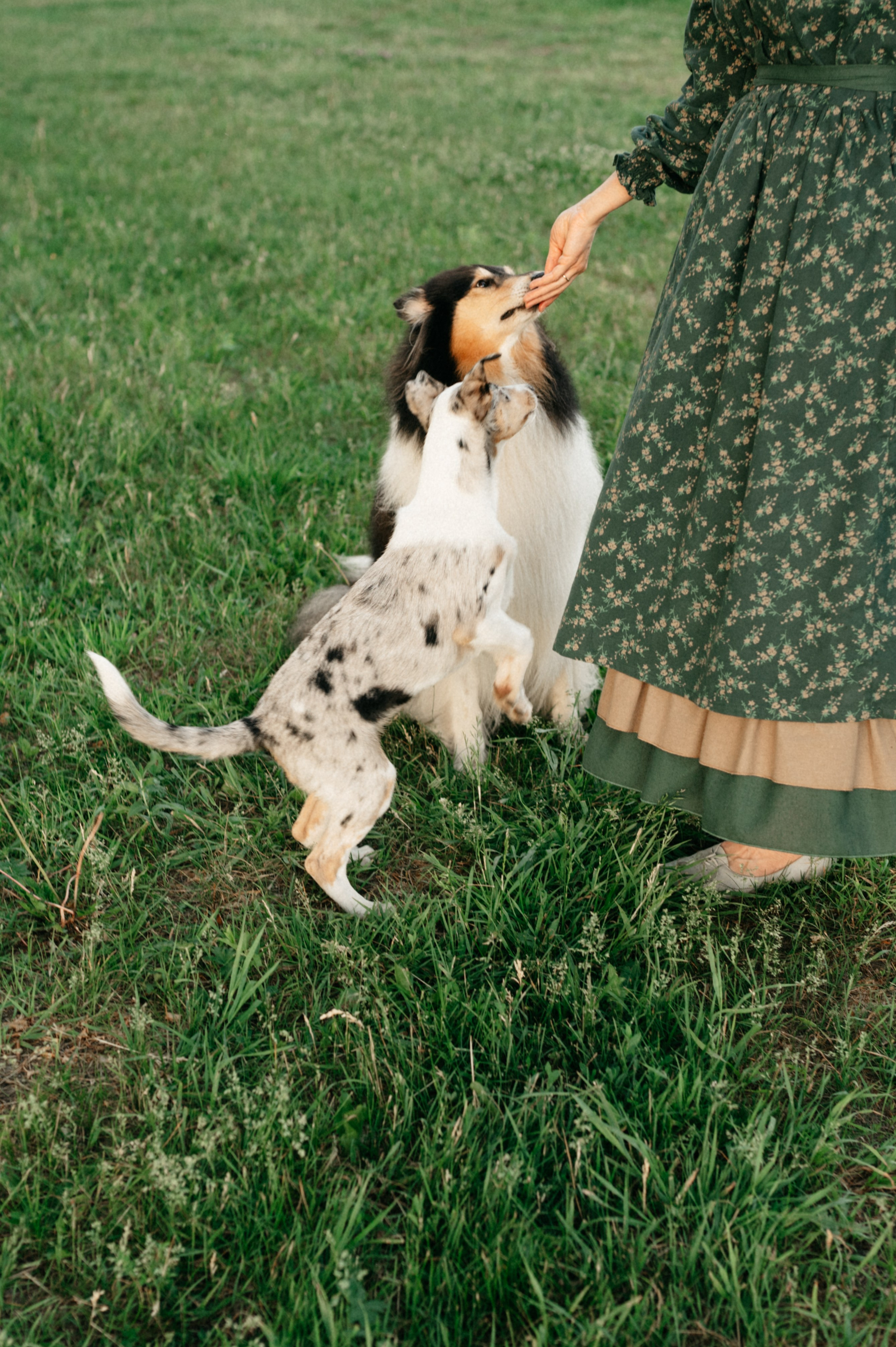 Таня и её пушистые друзья. Фотограф анималист в Москве Ольга Агушева