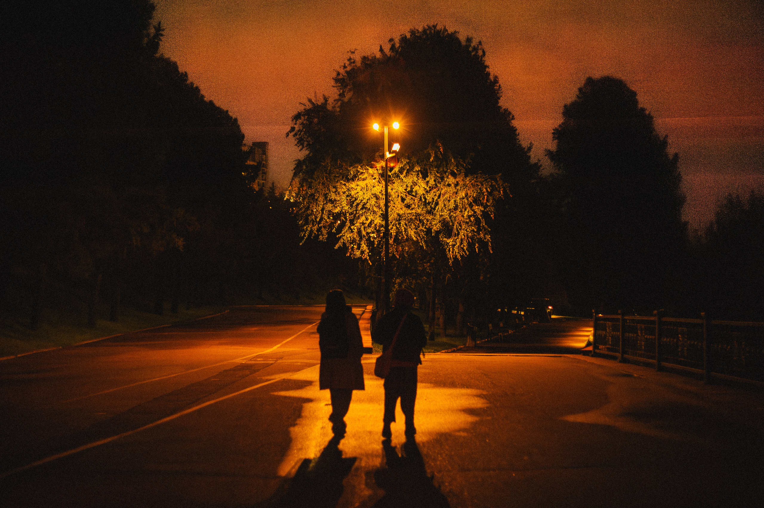 Промежуточные объекты. Фотограф Алик Мелконян