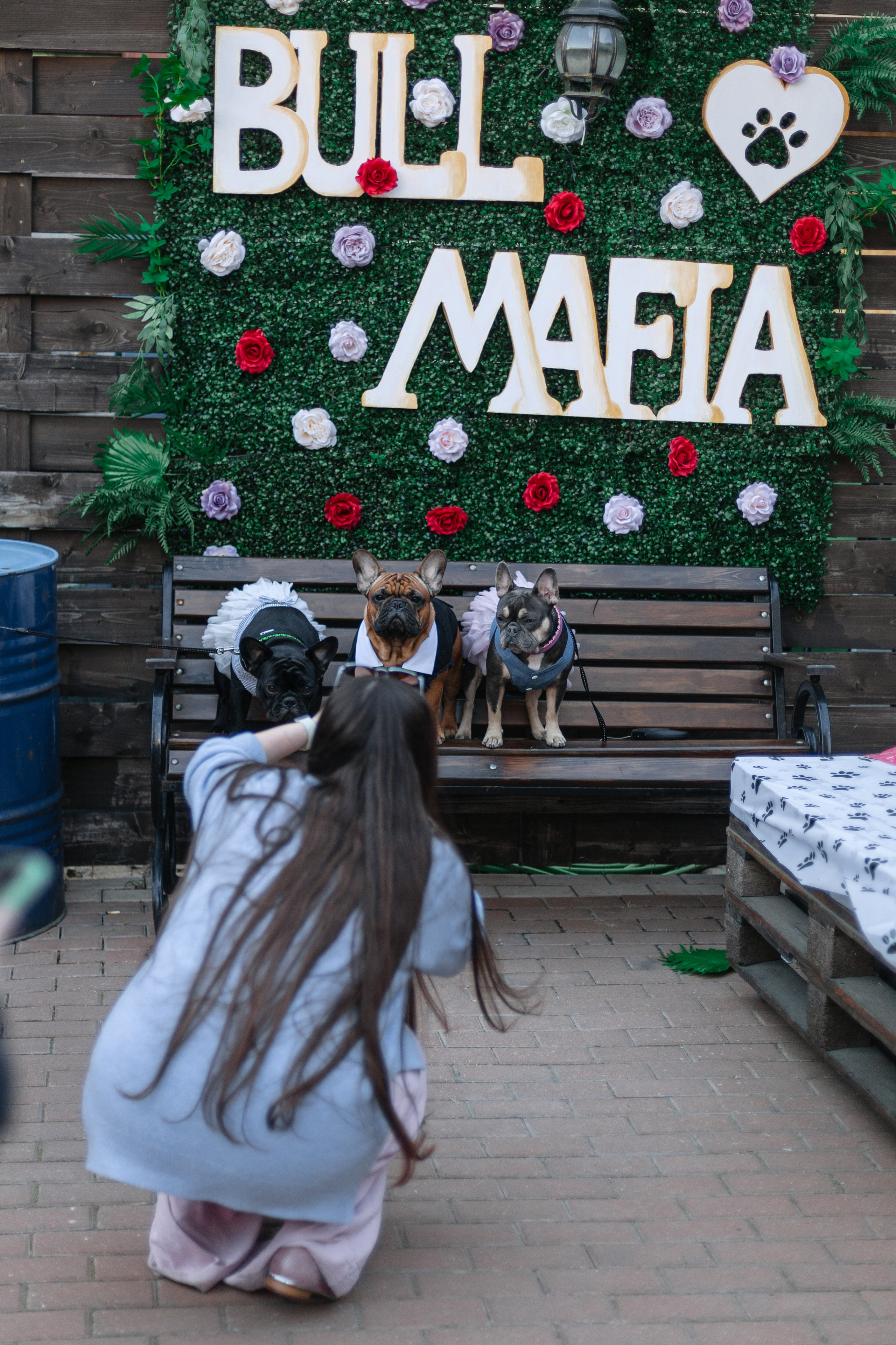 Бульбалл 23.04.2023. Фотограф-анималист Татьяна Степанова