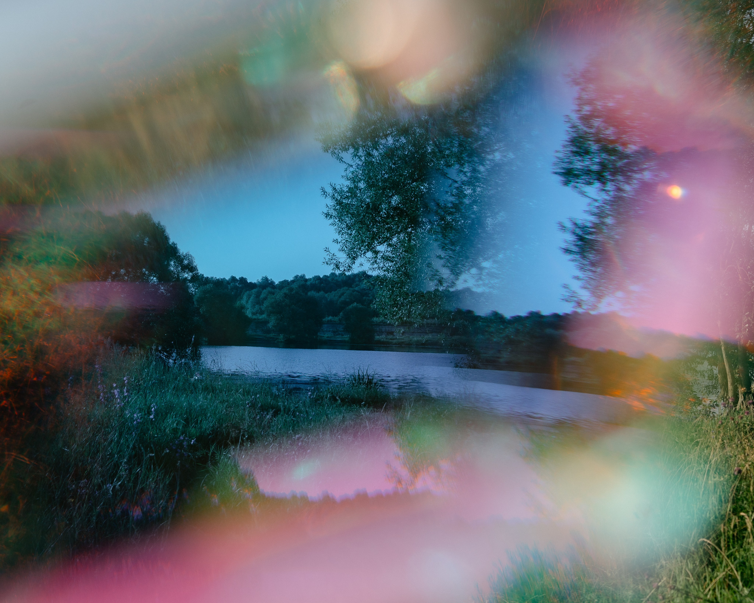 Купание лошадей 05.07.2024. Портретный и семейный фотограф в Москве/Видное