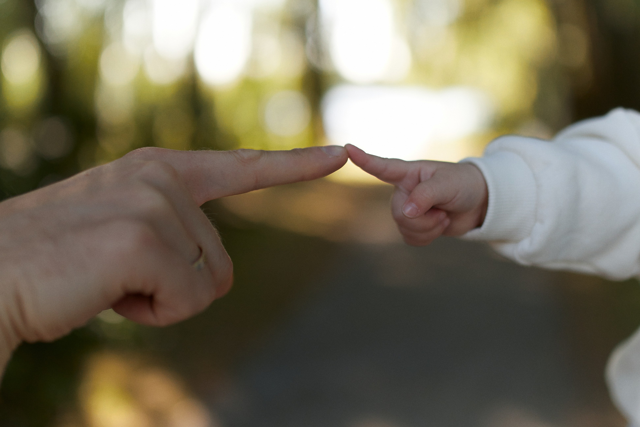 Прогулка в Коломенском. Ваш душевный фотограф