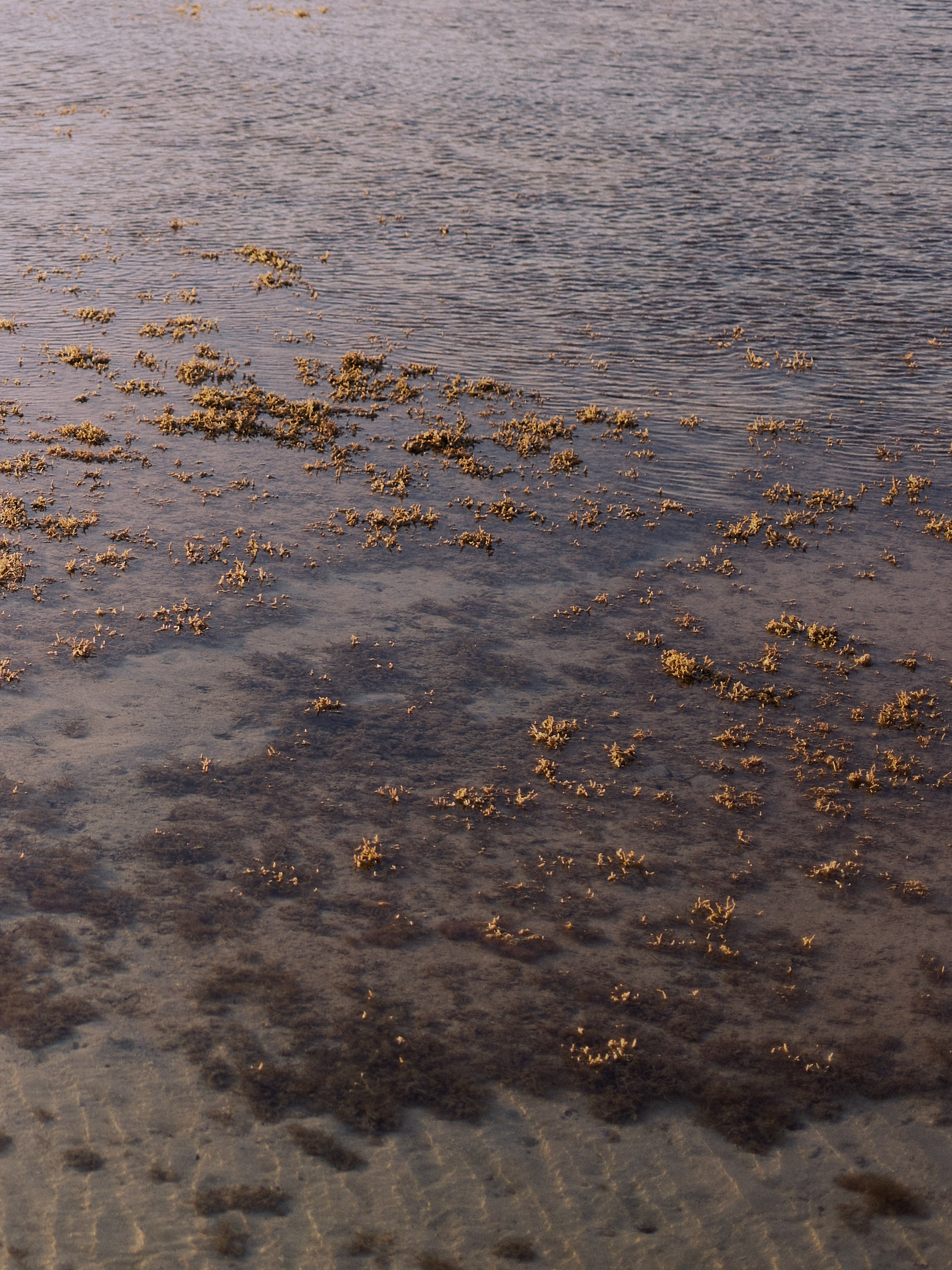 Другое 2. Jorgis Talè — photographer, kind person, teacher of arts and other mag