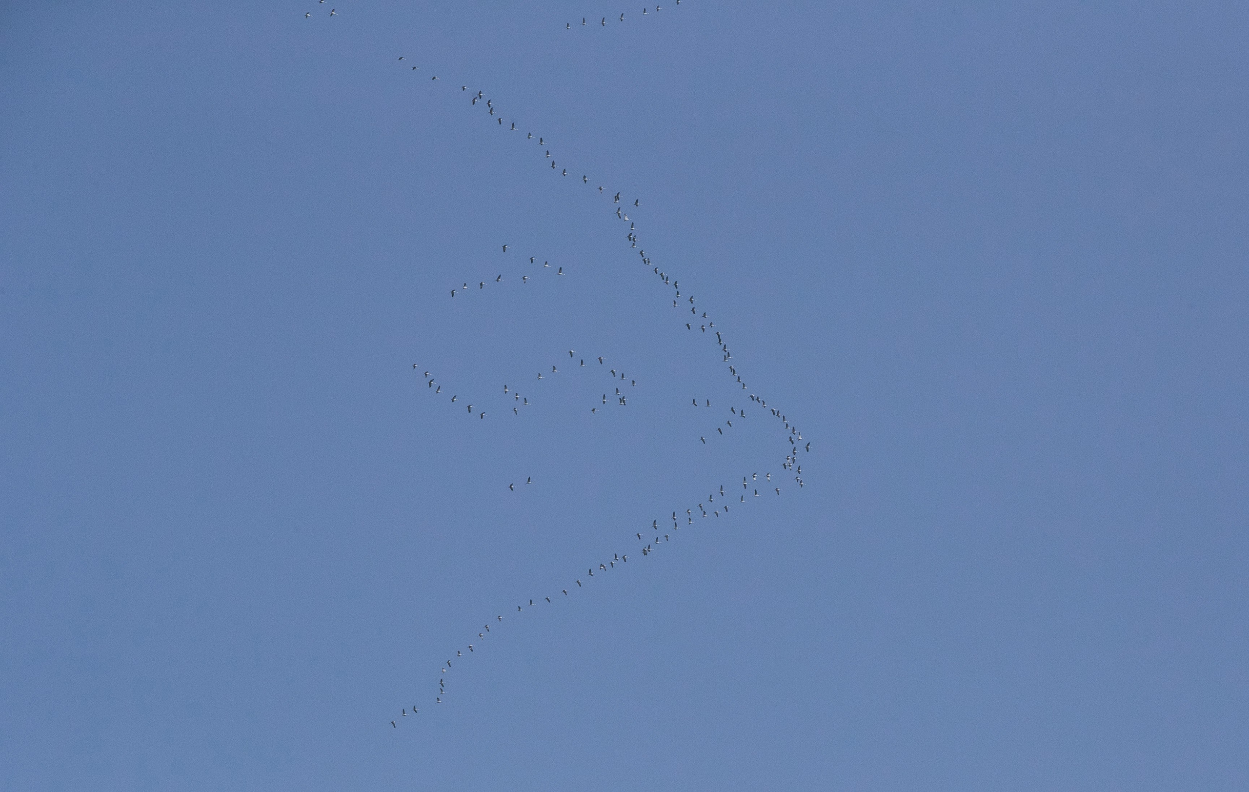 Фототуры в Карачаево-Черкессии 2019-2020. Фотограф-анималист Ксендзова Кристина