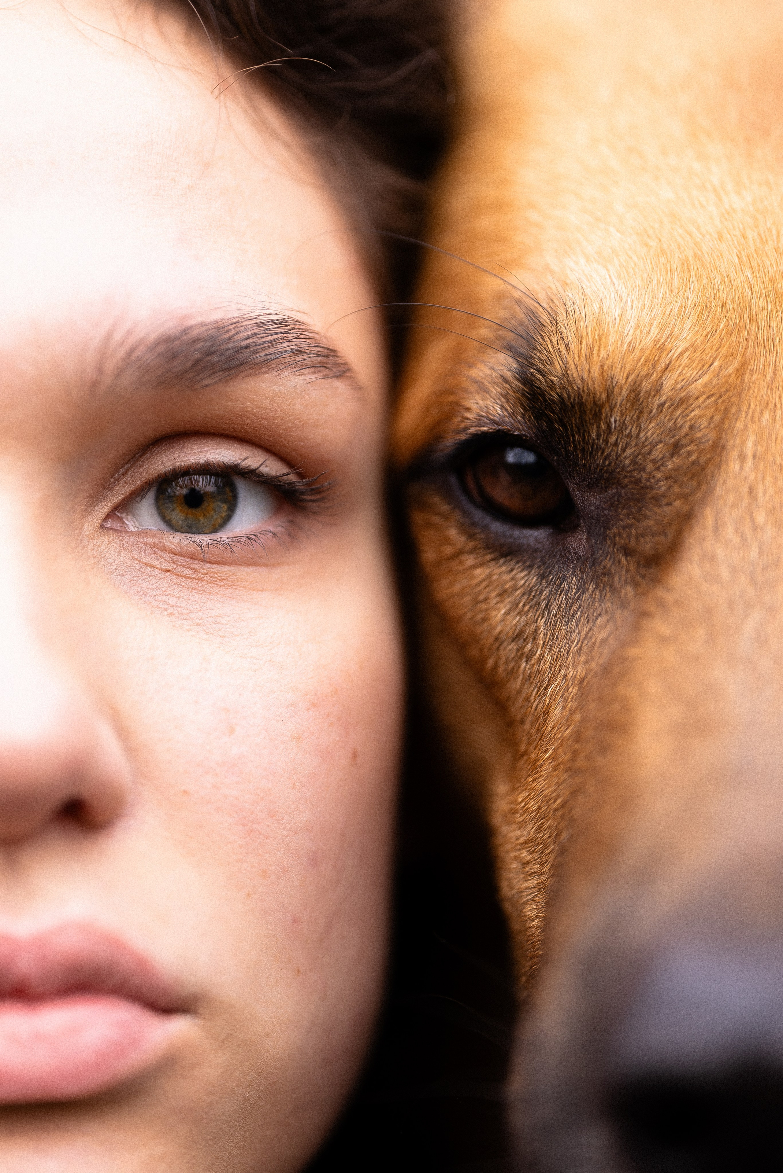 Karelia. Фотограф и видеограф анималист Аганина Дарья