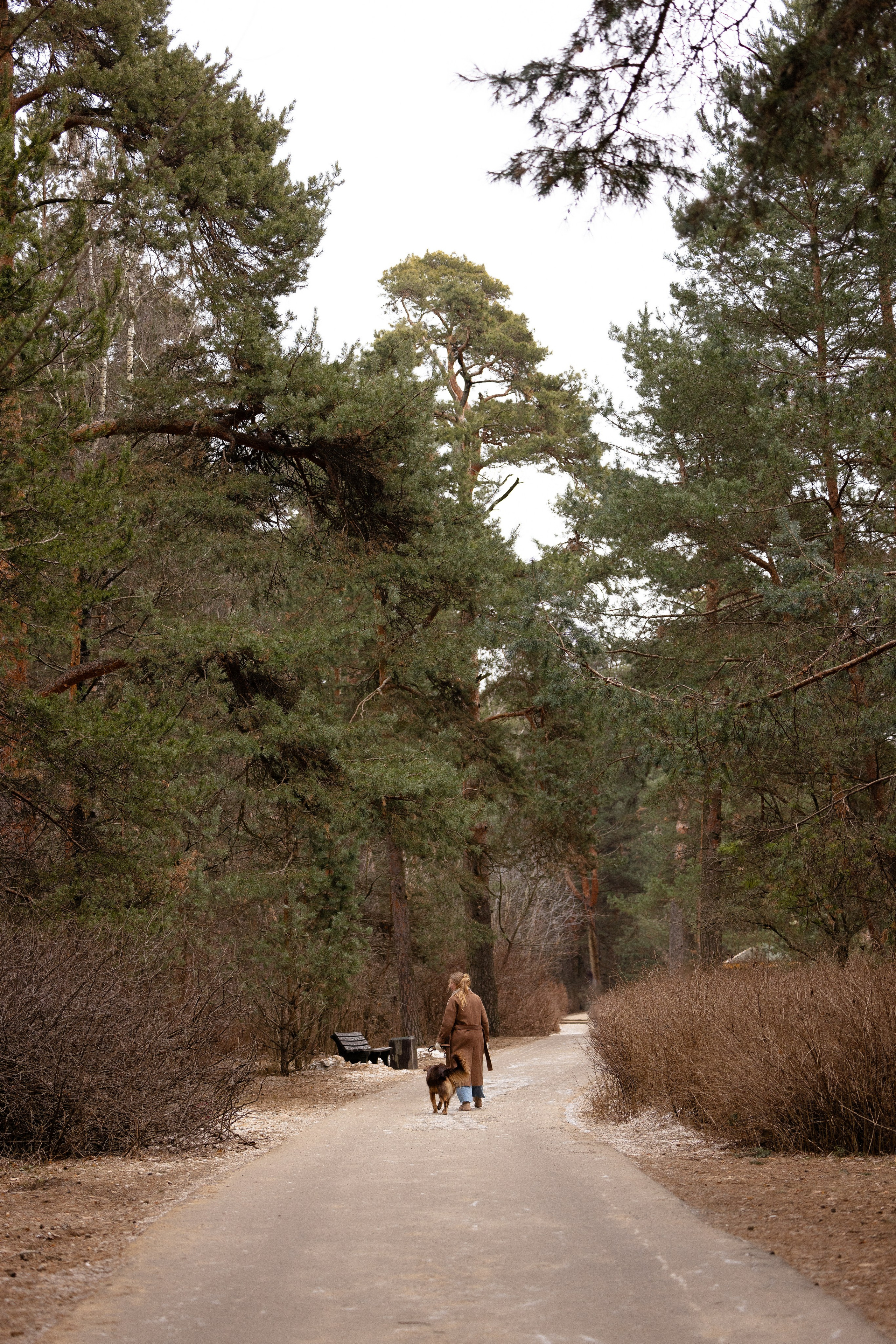 Катя и Мёд. Фотограф и видеограф анималист Аганина Дарья