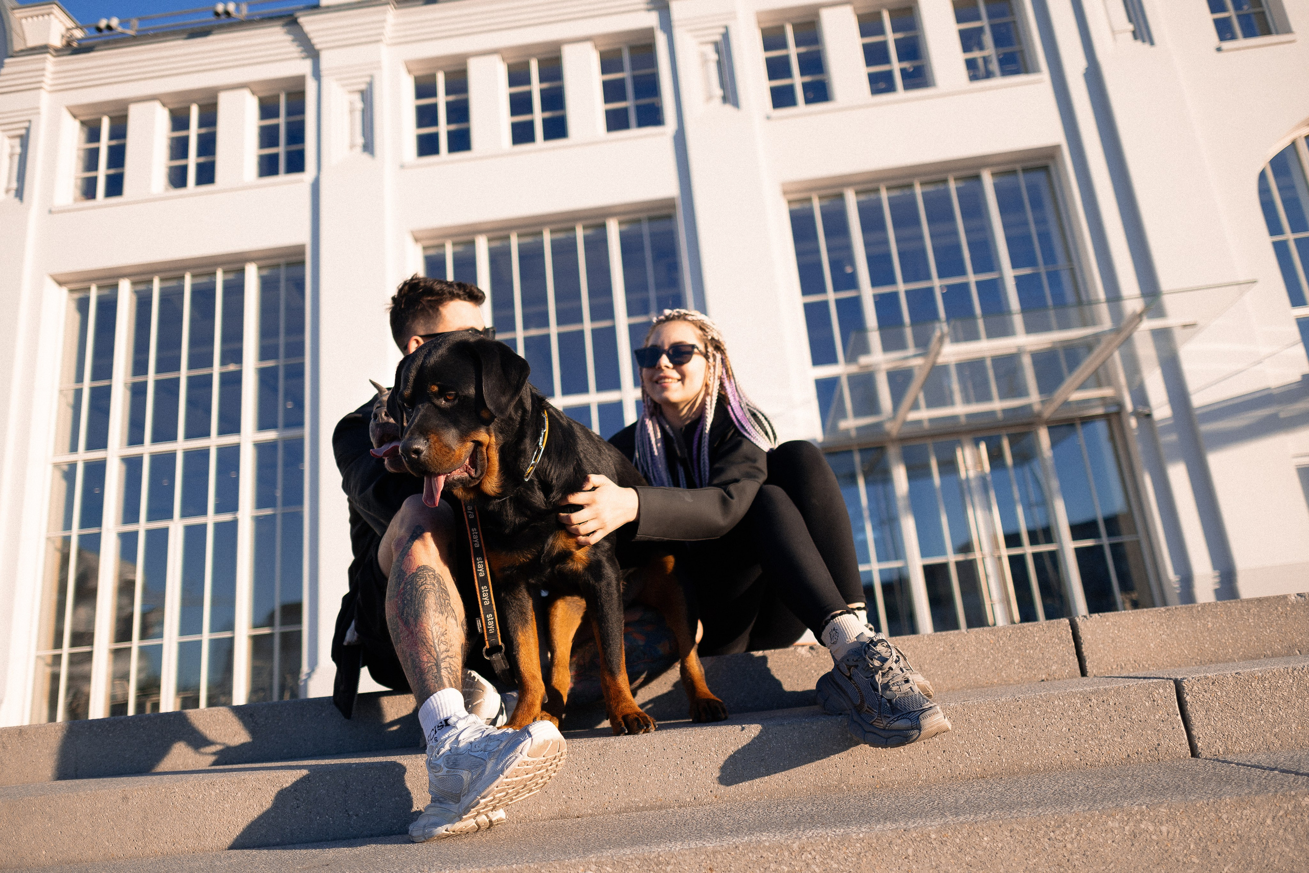 Катя, Леша, Трой и Лея. Фотограф и видеограф анималист Аганина Дарья
