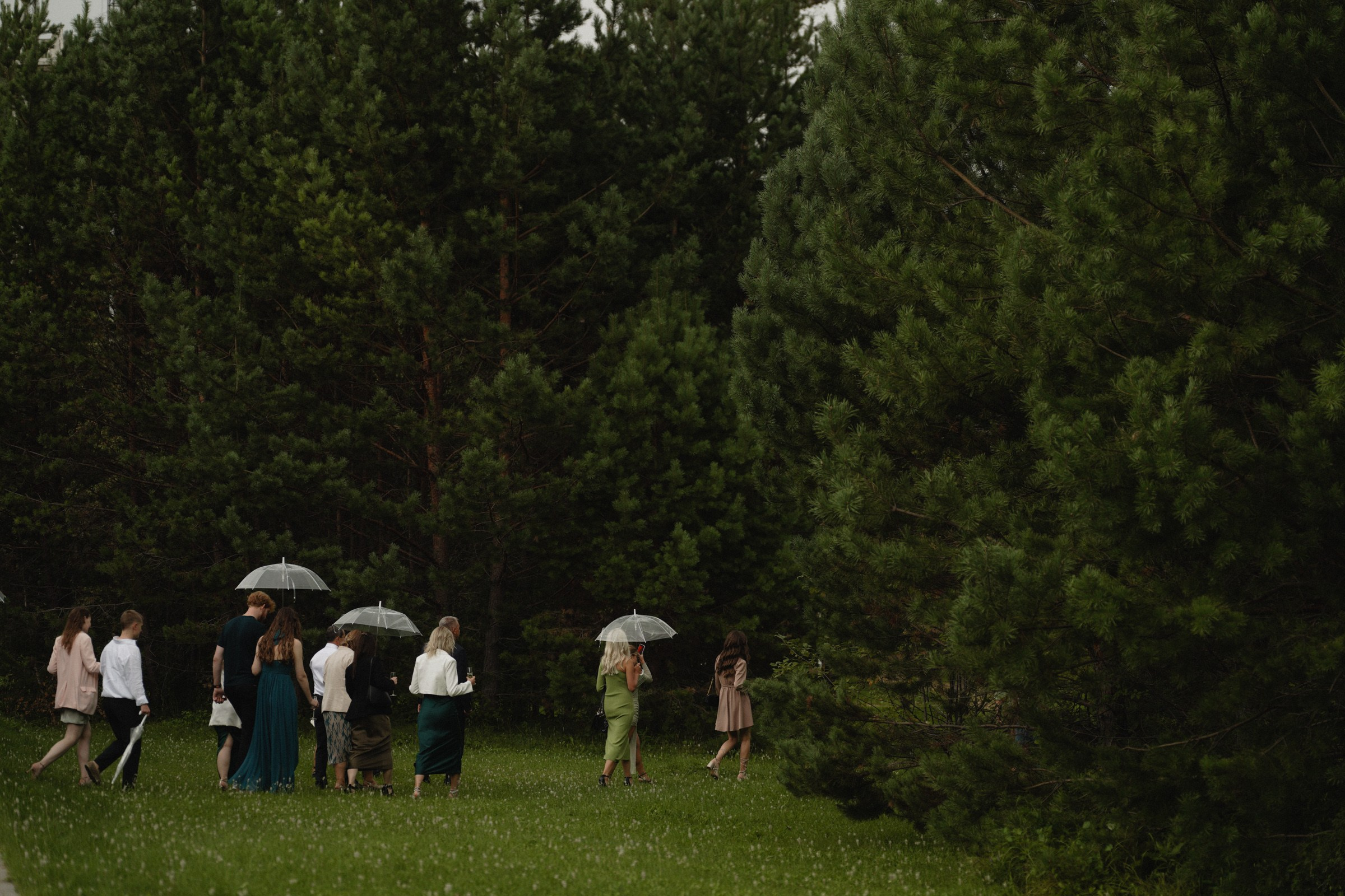 АРИНА И МИХАИЛ. Свадебный и семейный фотограф в Абакане Василевский Алексей