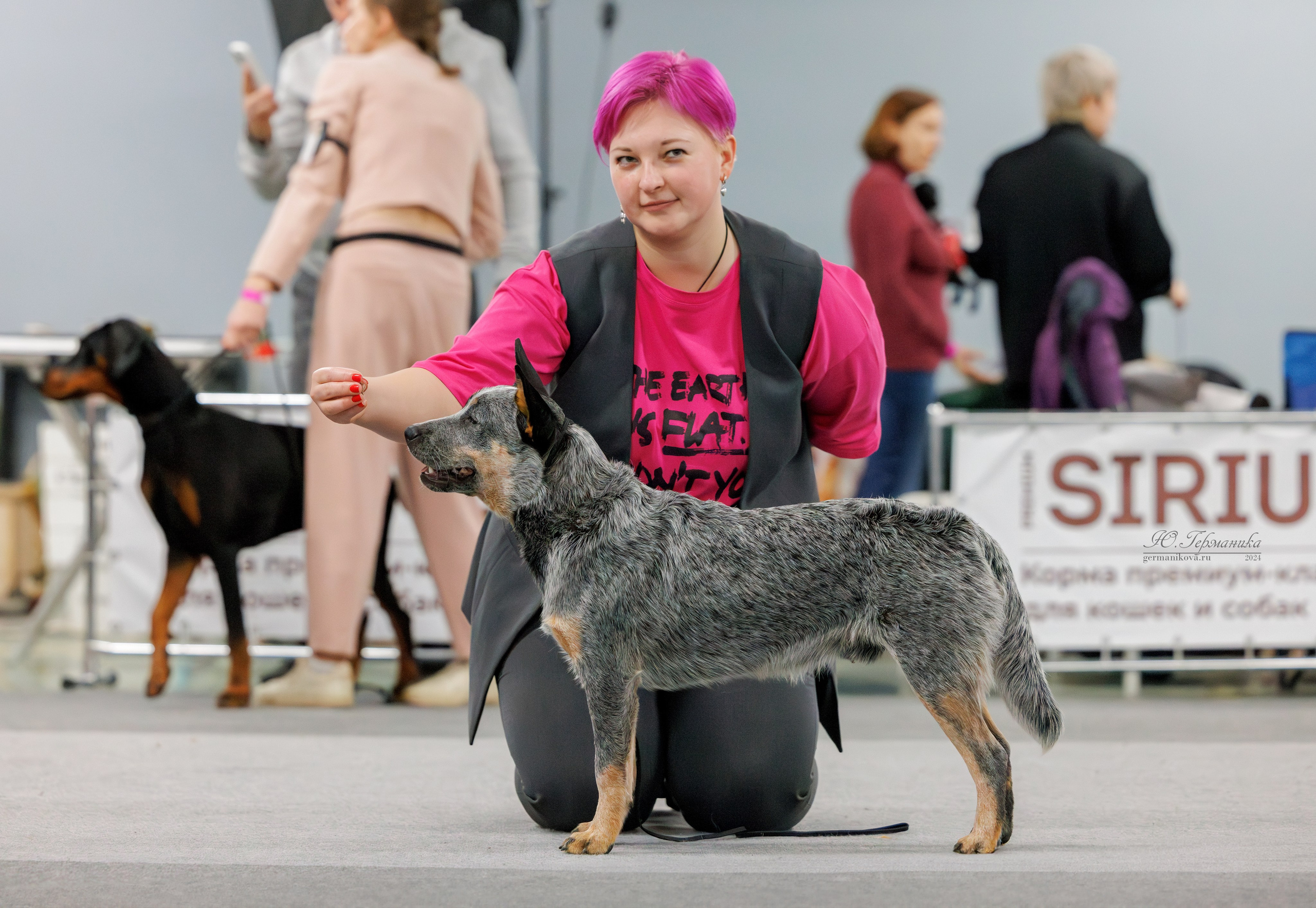 Сфера и Крокус 8,9,16 и 30.03.2025. Фотограф-анималист Юлия Германика