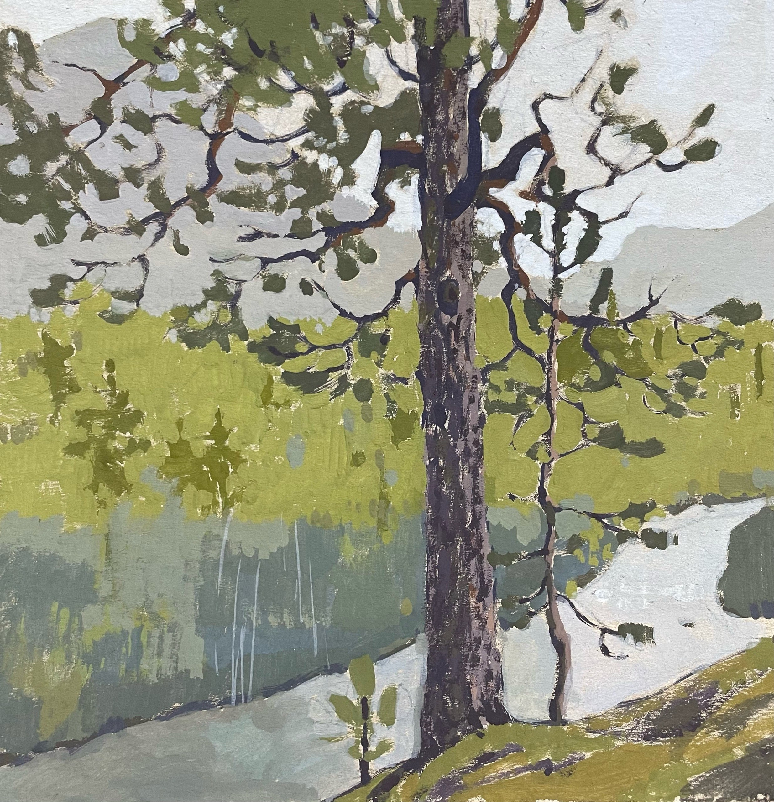 Хибины. Художница Лиза Владимирова