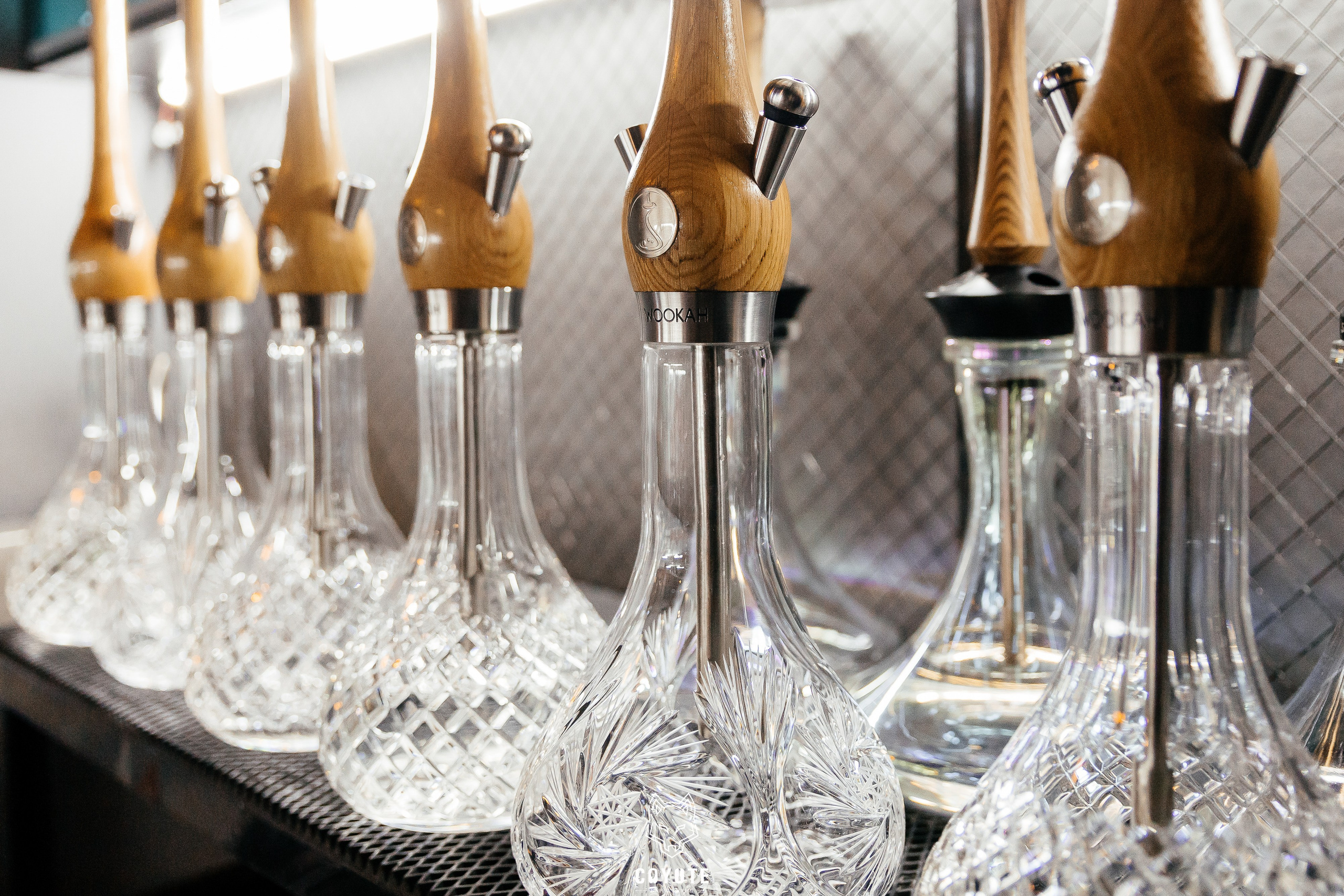 Бар Койот. Ваш самый лучший фотограф!