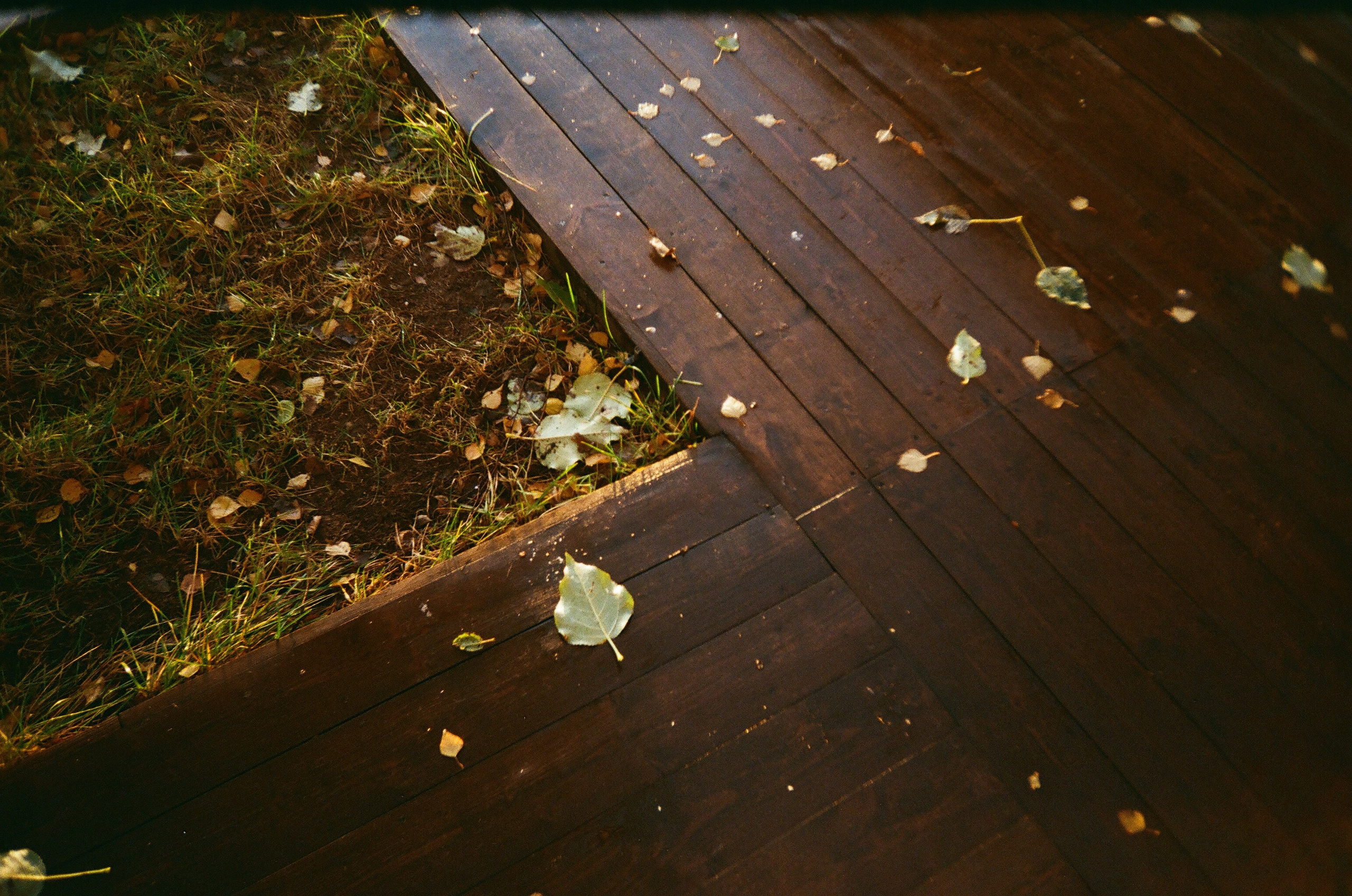 Winter is coming. ELINA VLADI