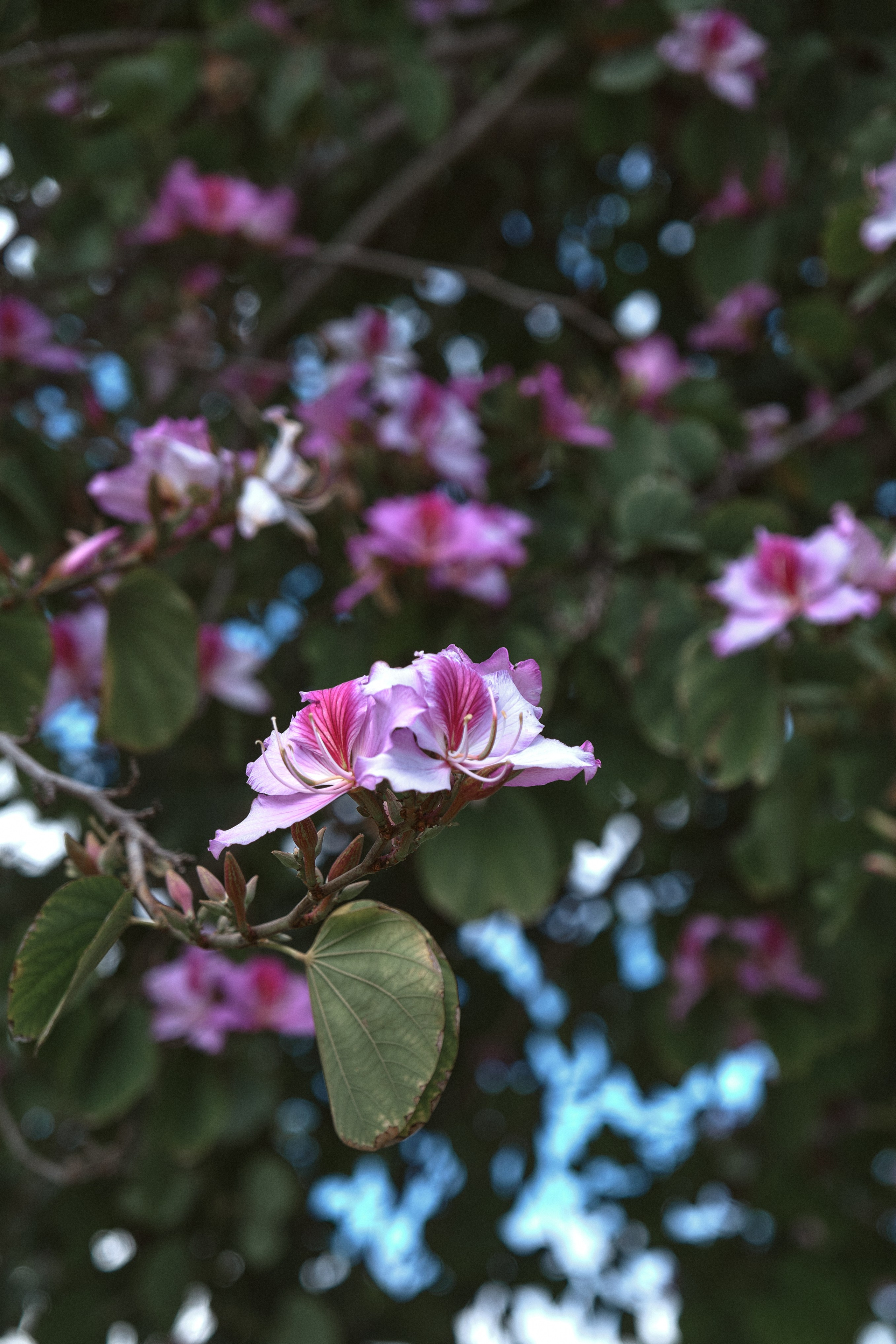 Cyprus 2024 / march. Aleksandr Kobtsev