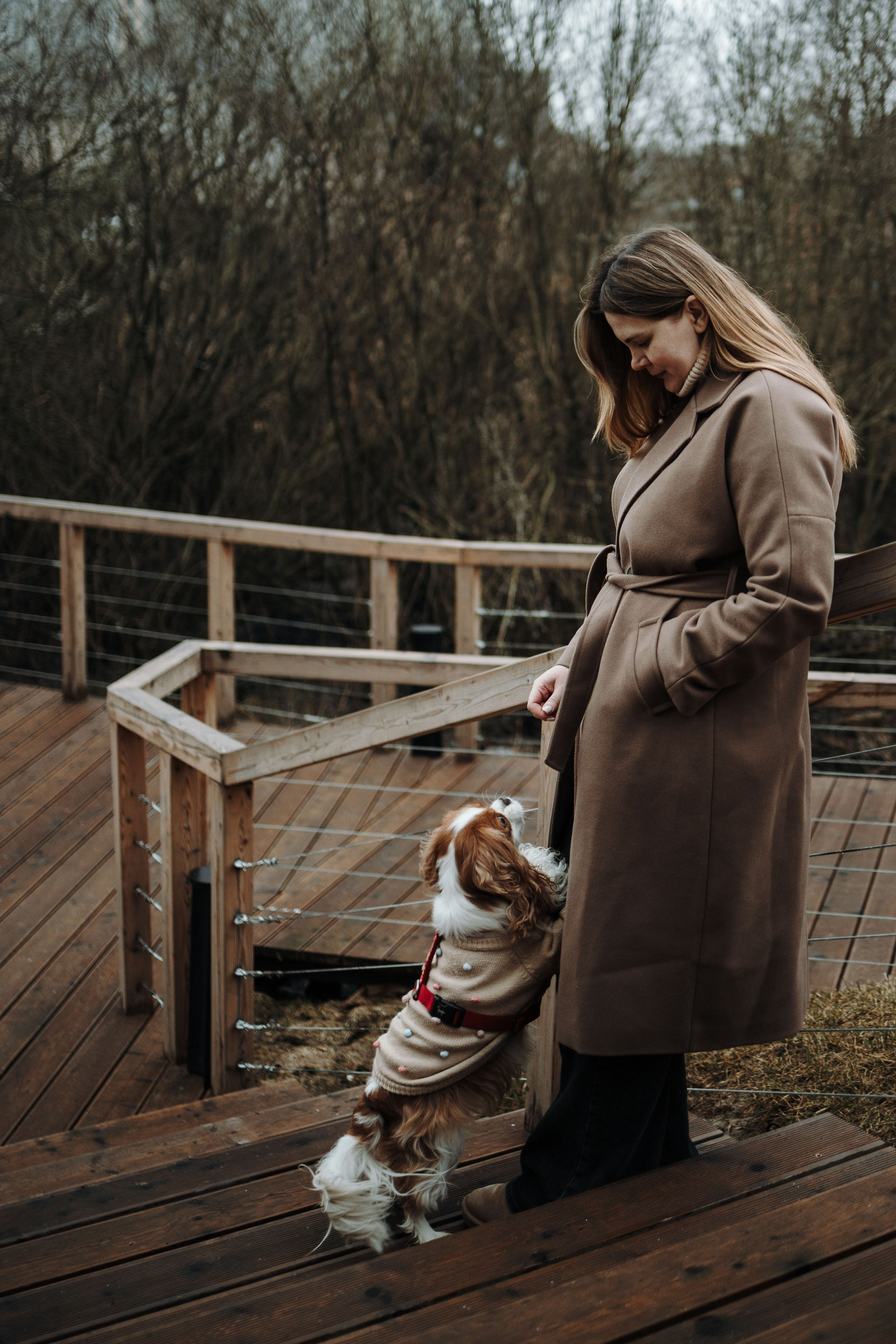 Любовь и Альтаир