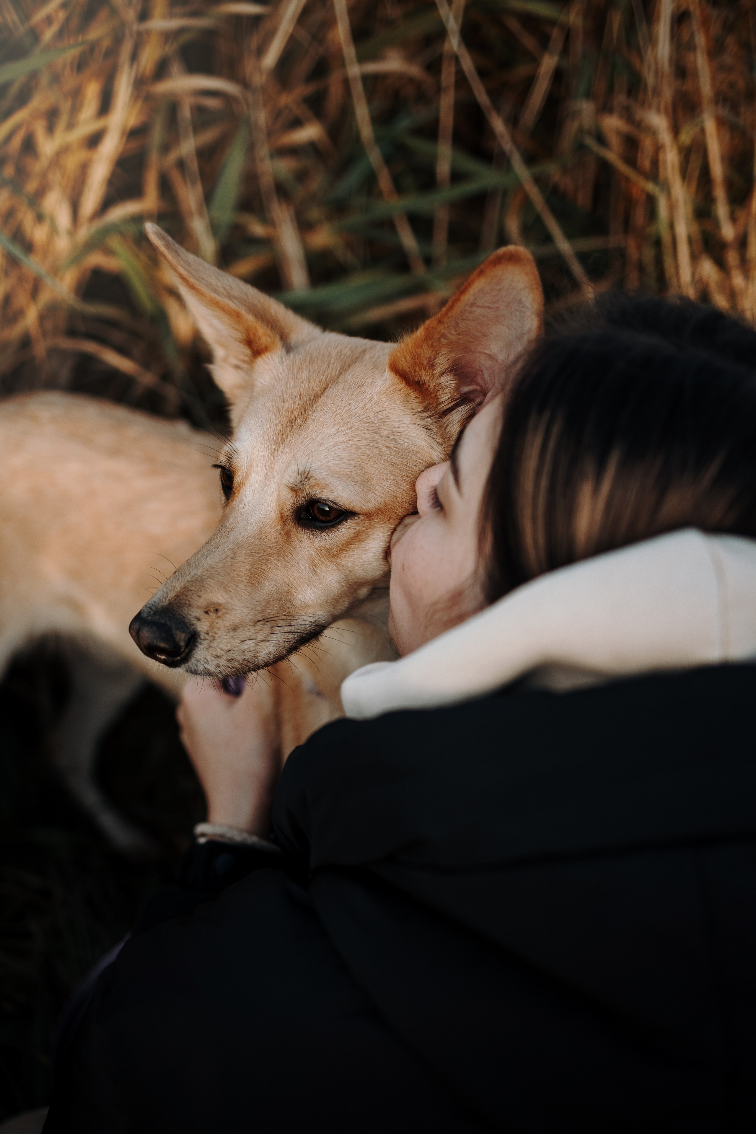 Юля и Джесси. Фотограф — Анималист | Санкт-Петербург