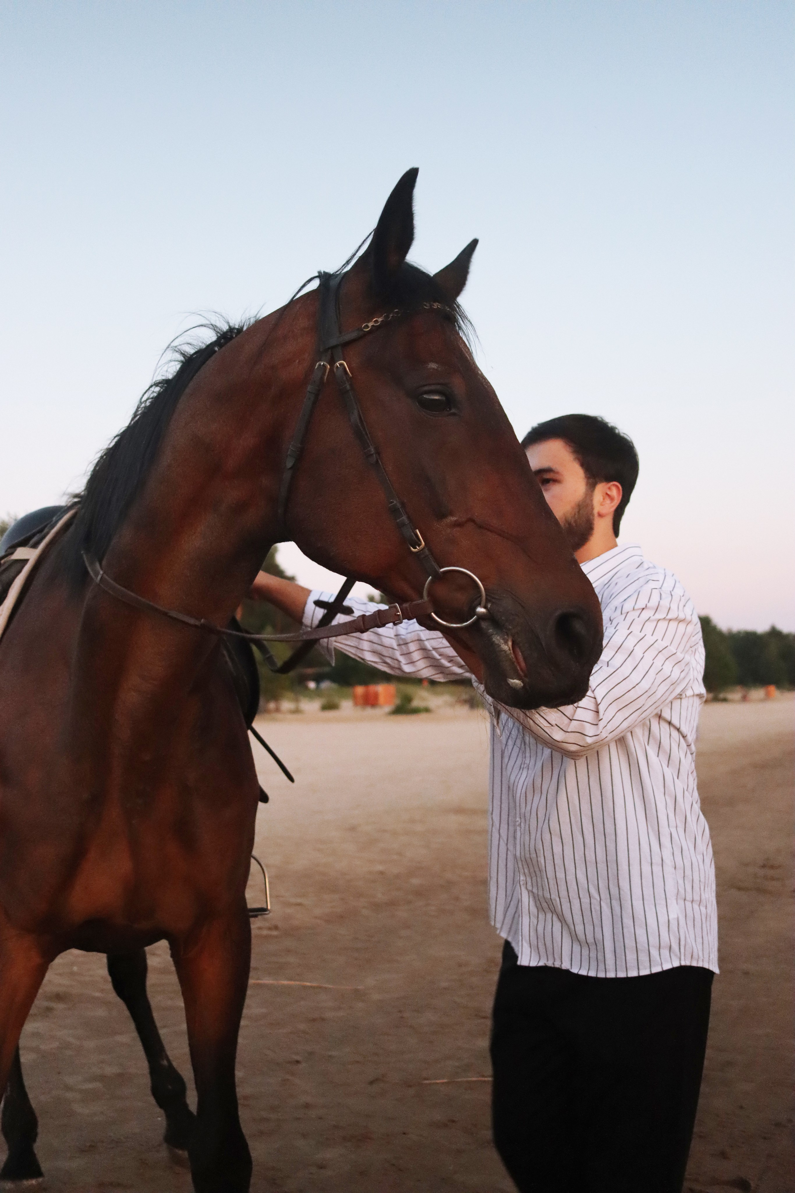 Love story с лошадьми