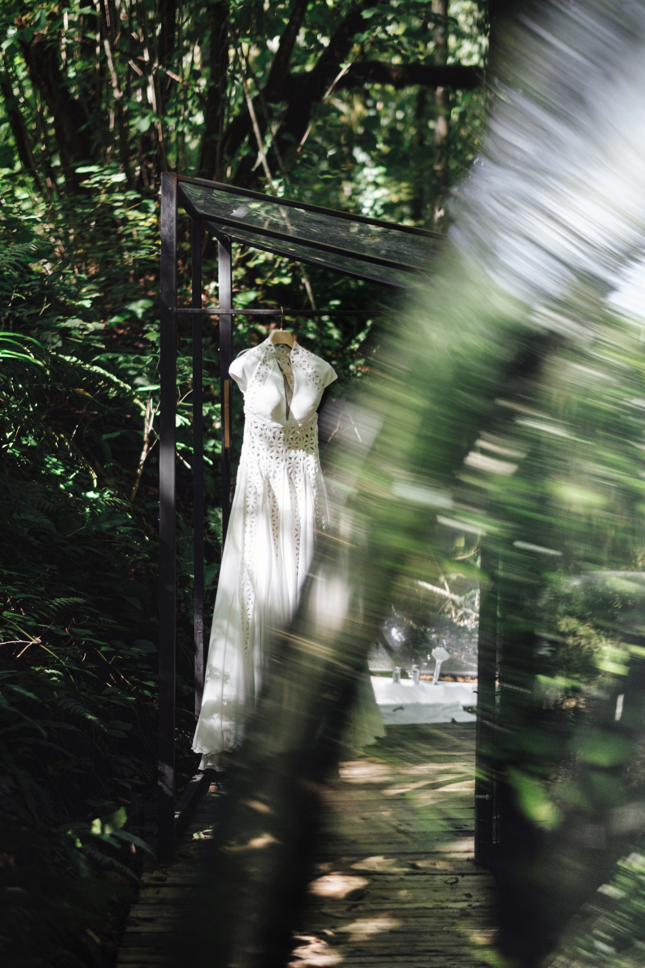 Кот и Дракон. Свадебный Видеограф Фотограф в Сочи