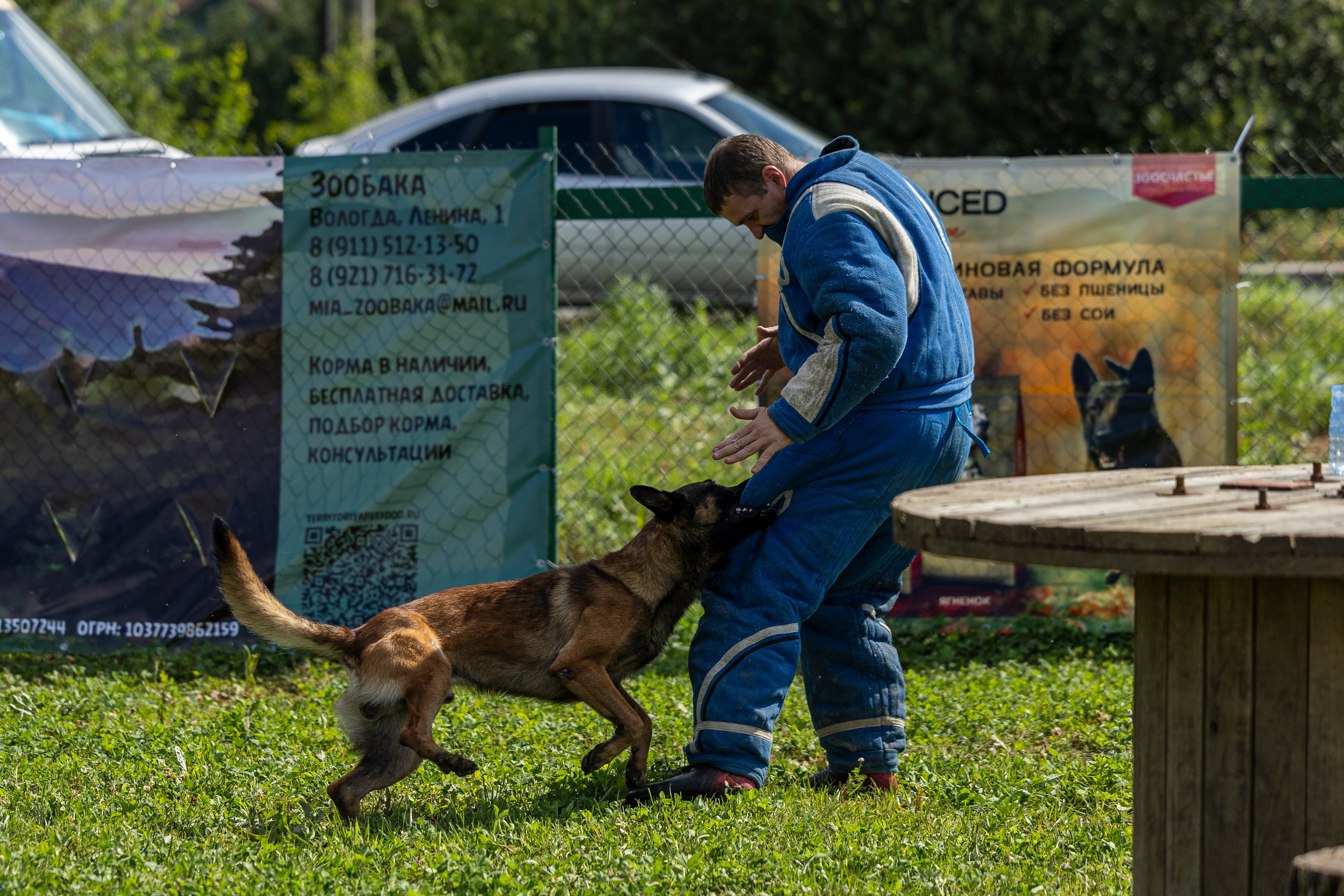 Соревнования по Мондьорингу г. Вологда 10-11.08.2024. Фотограф-анималист Анна Маринич