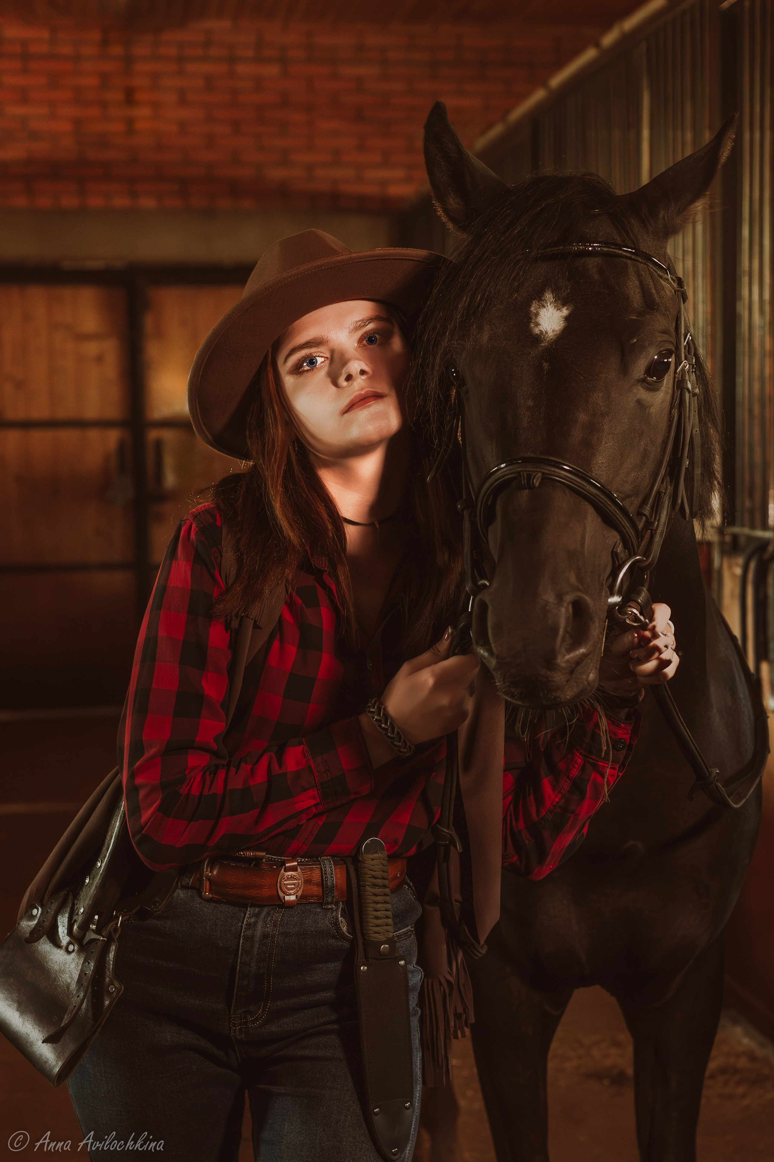 Альбомы стилизованных фотосессий и съёмки с животными. Семейный и свадебный фотограф в Москве и Домодедово Анна Авилочкина