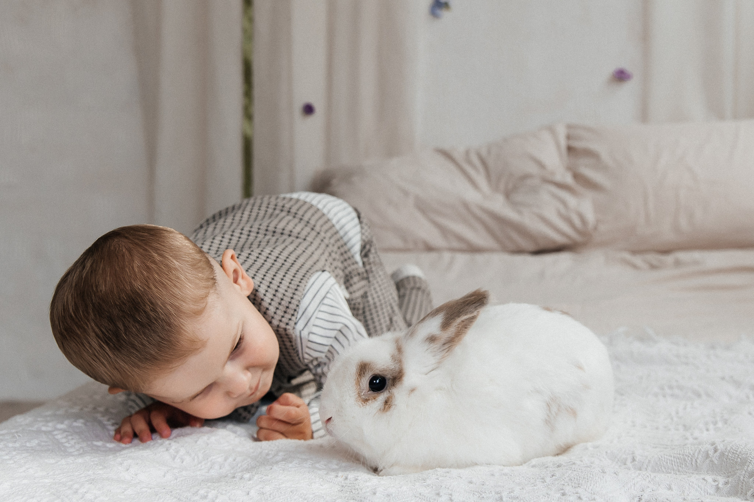 2 годика Матвею 🎂. Детская и семейная фотостудия Кемерово. Фотосессии на годик под ключ!