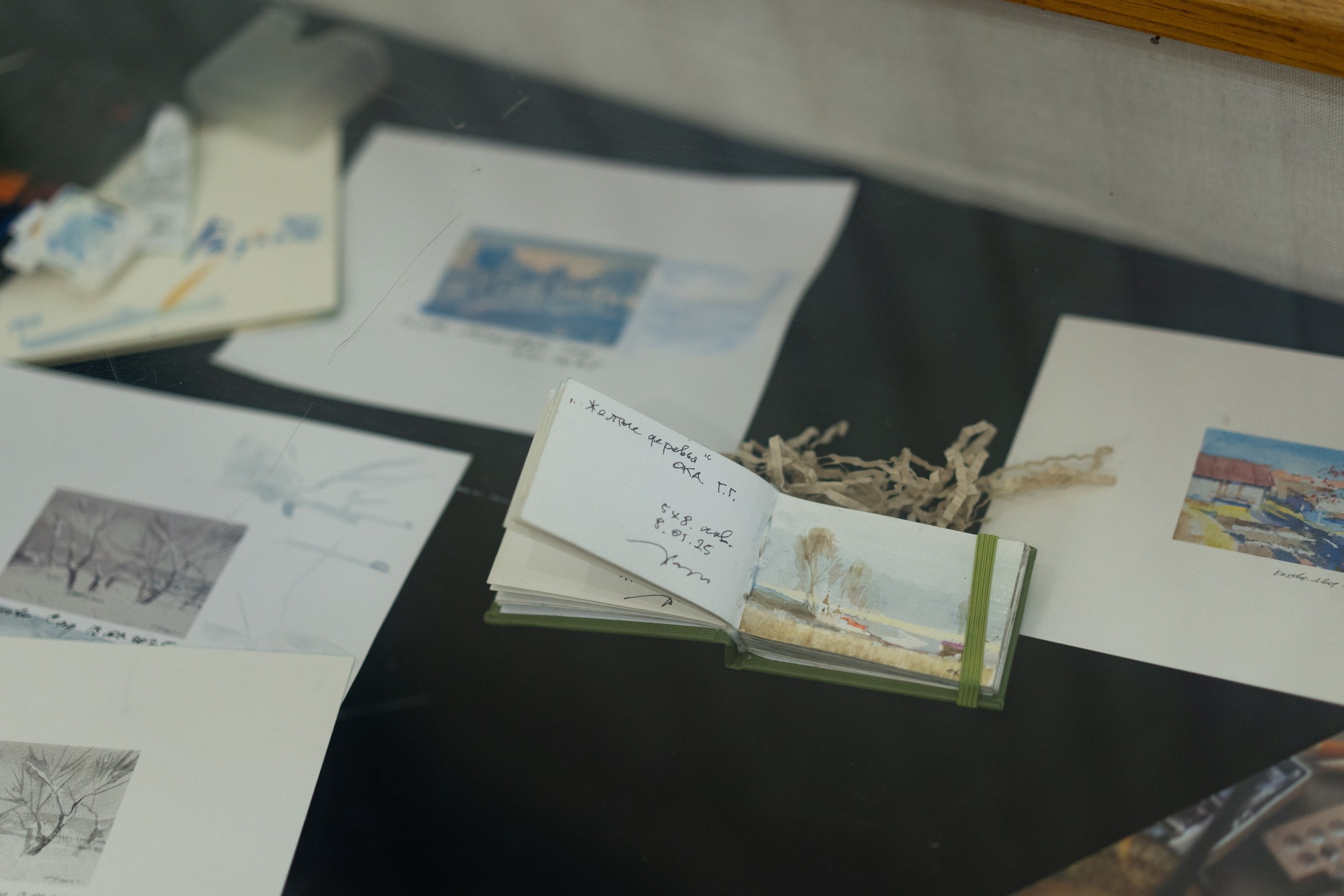 Открытие выставки Ильи Даньшина «Радость». Лиза Фирстова — самый добрый фотограф