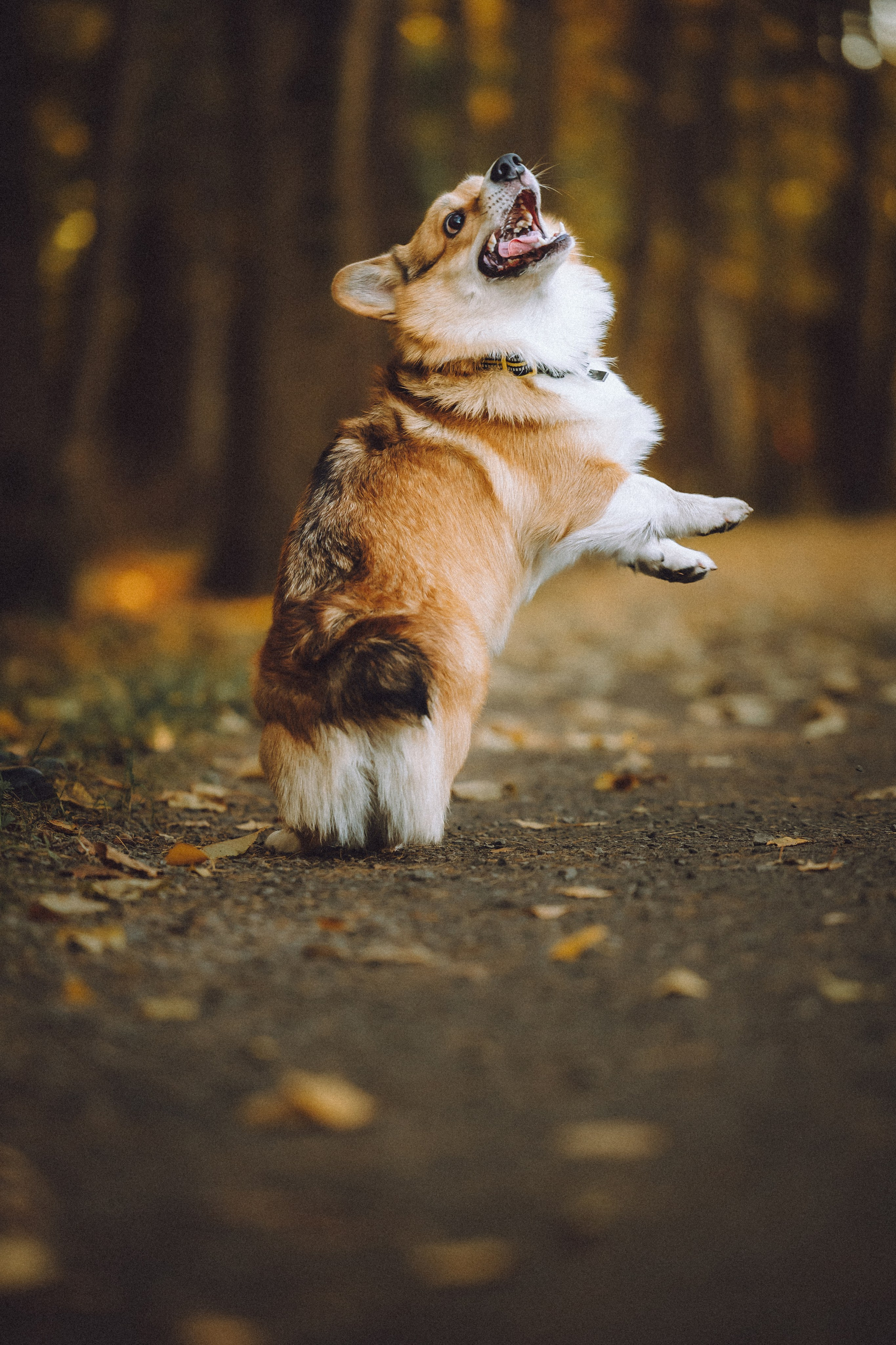Карина, Даня и Аркаша