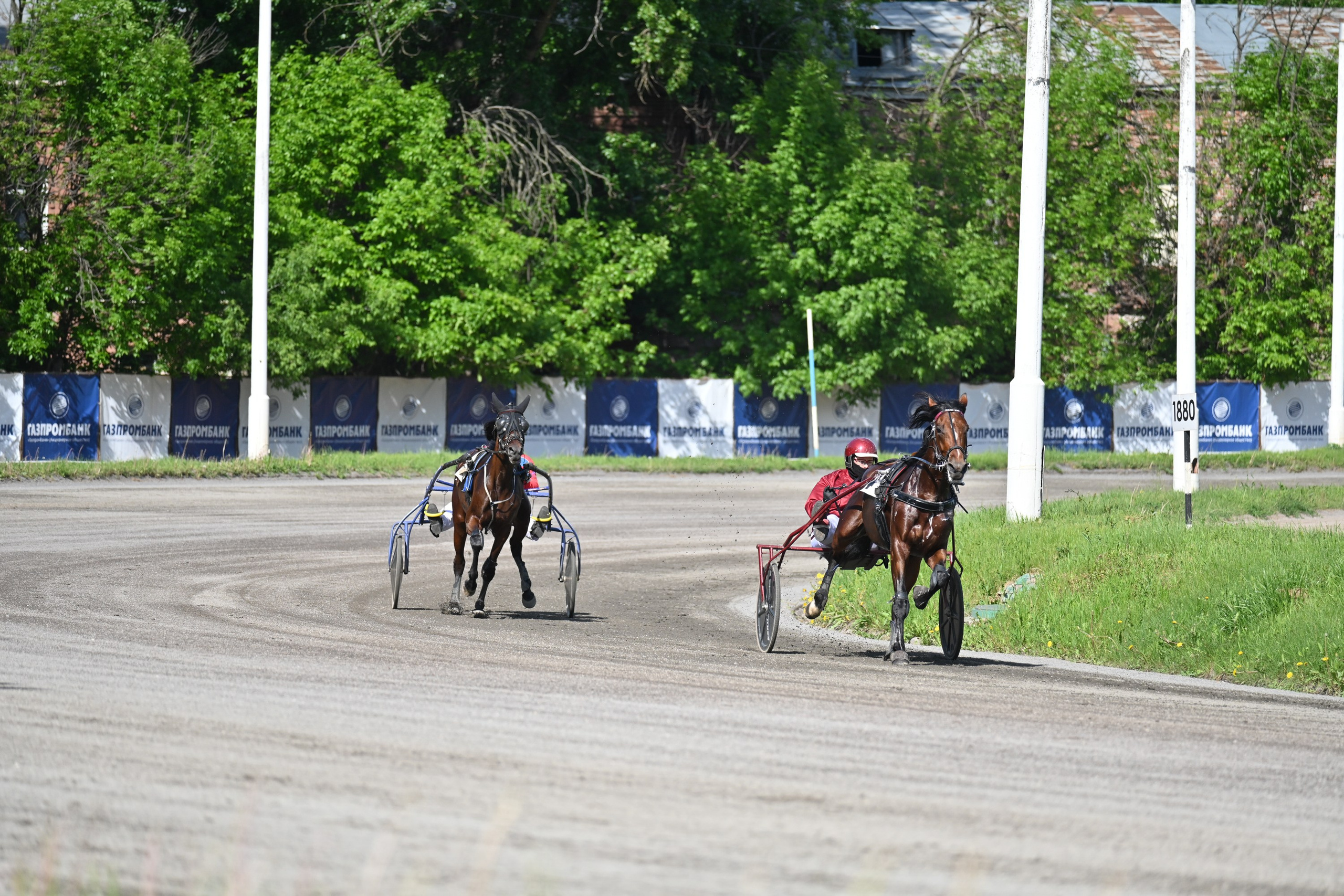Московский ипподром. Fotolux