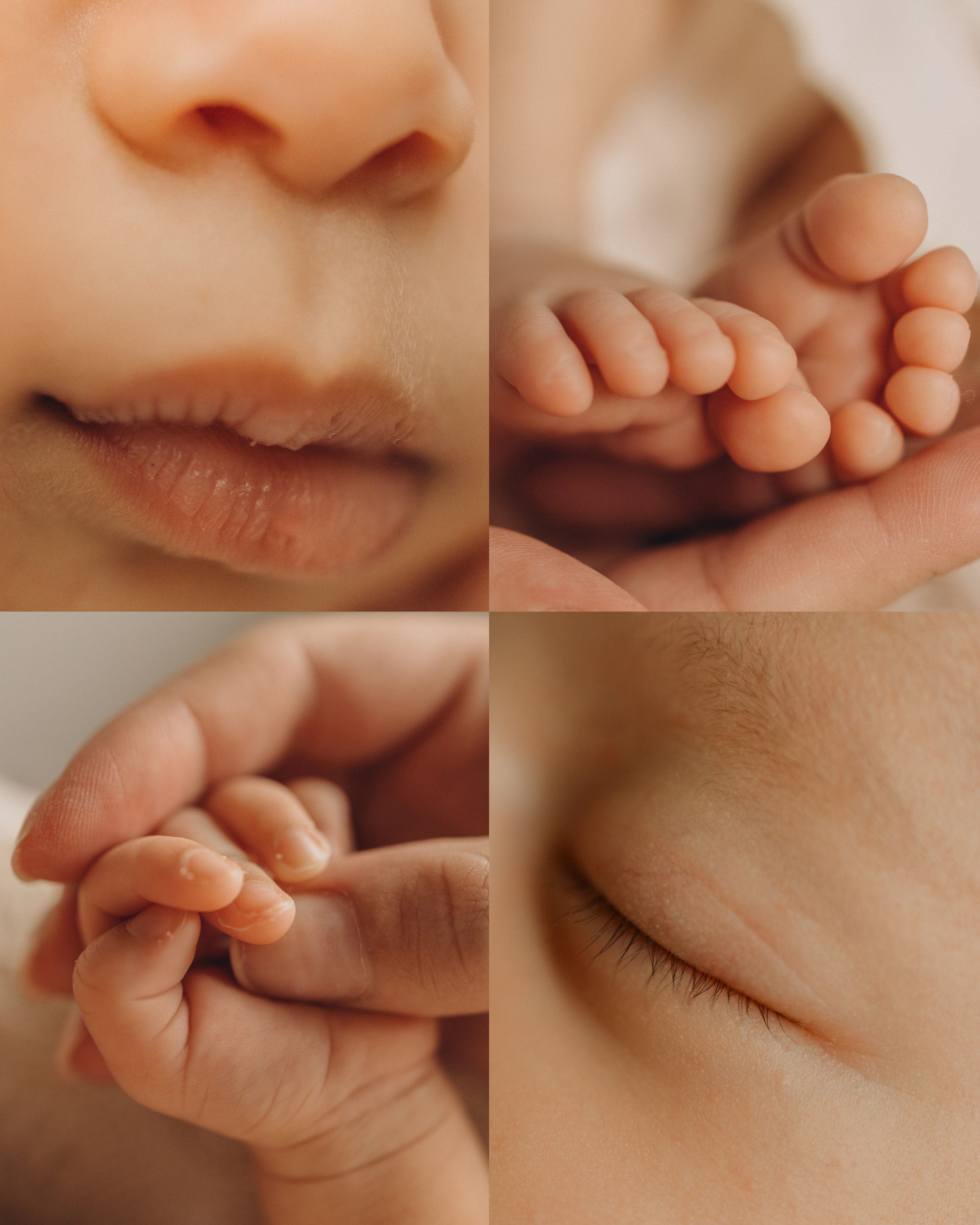 Айлин. Семейный и детский фотограф, женский портрет Москва Светлана Мертикова