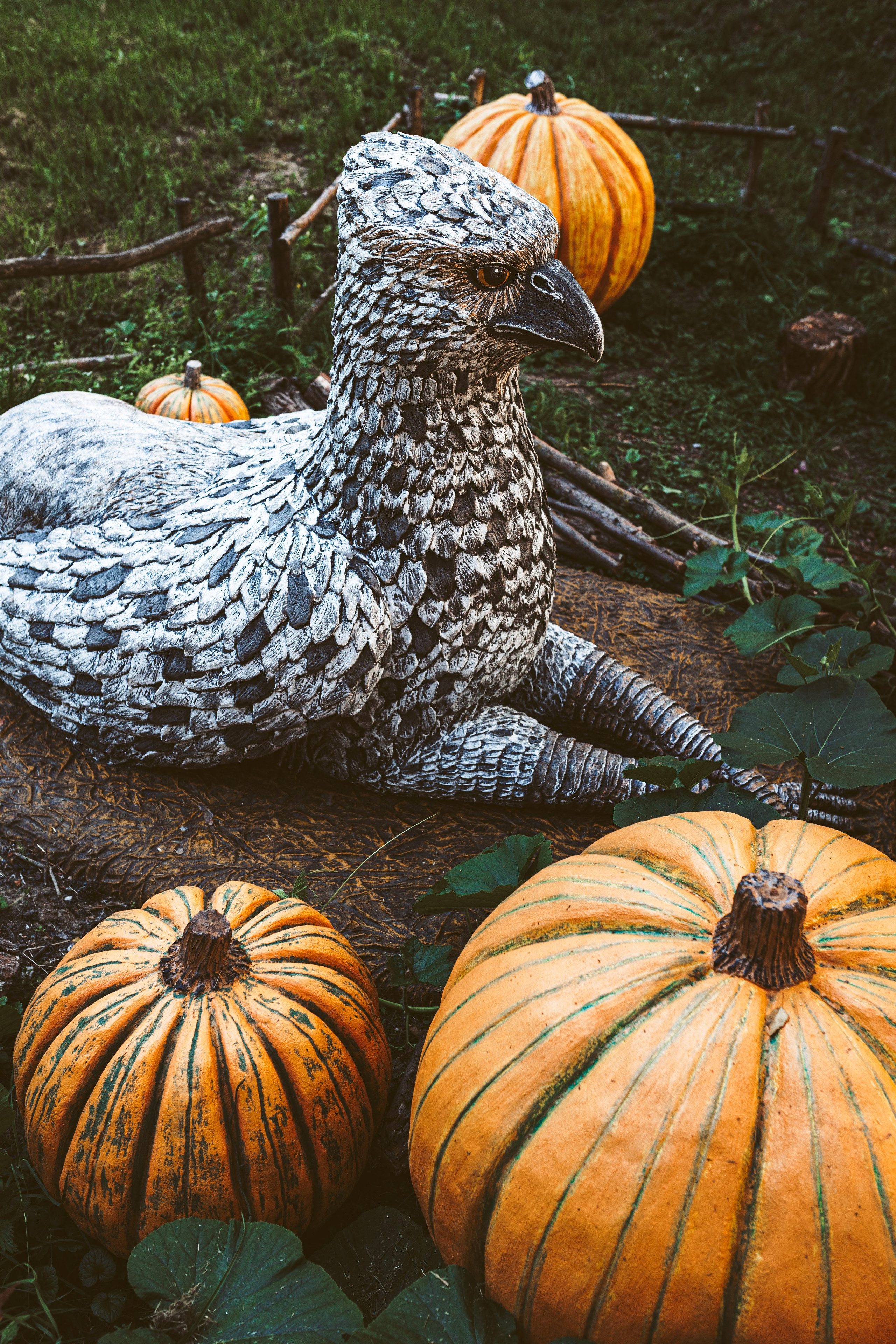 Хижина Хагрида. Свадебный фотограф Курзина Ольга | Москва