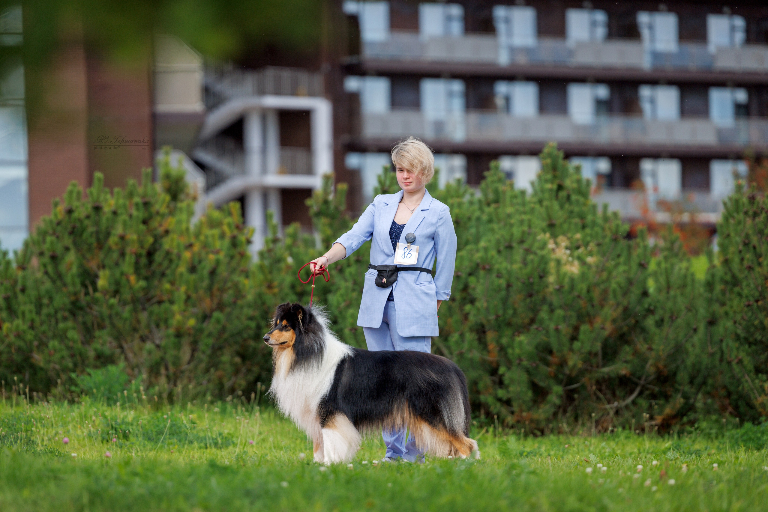 Переславль 5-7.08.2025. Фотограф-анималист Юлия Германика