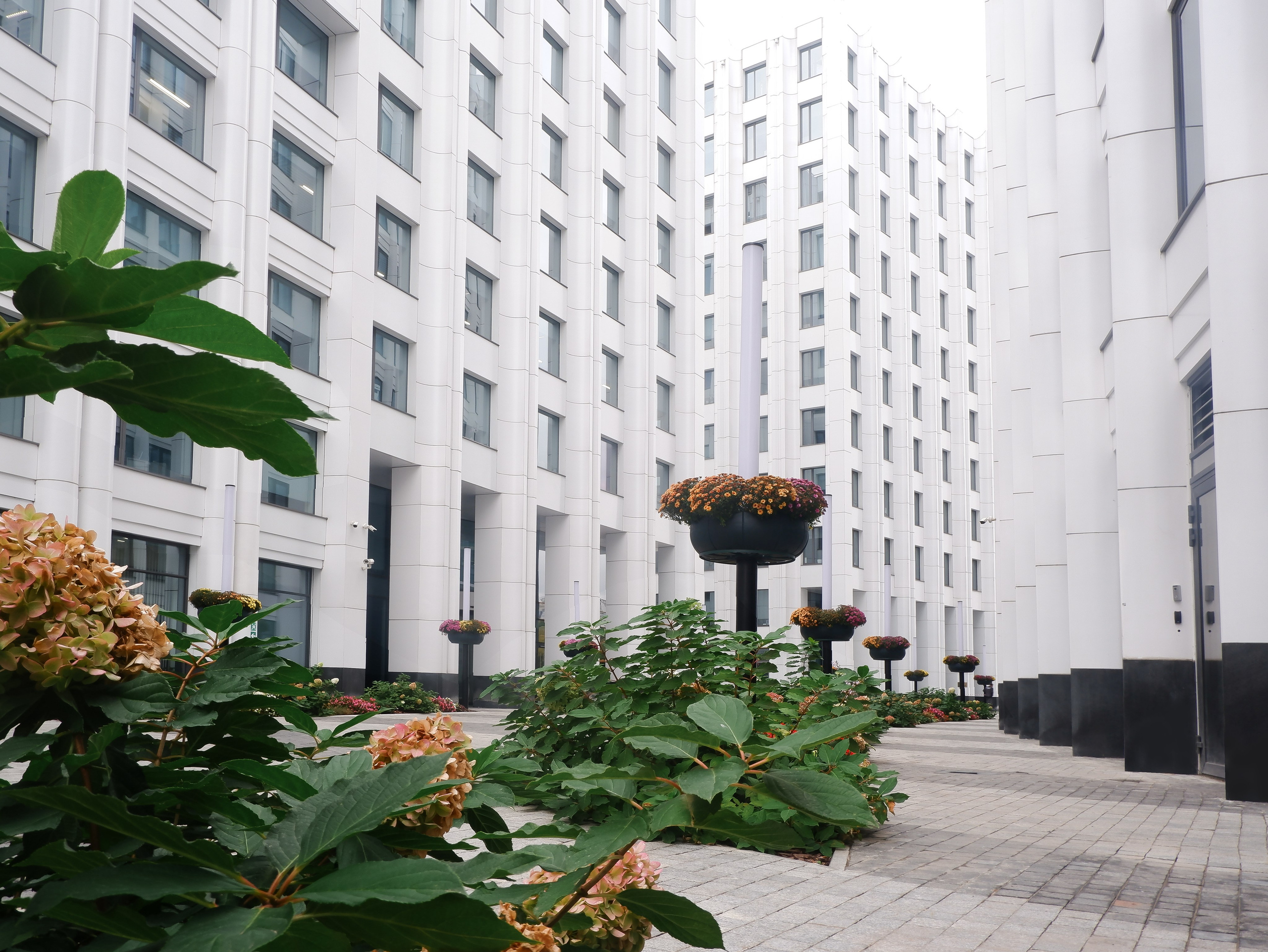 Фито технологии брендинг. Графический дизайн и ретушь фотографий, Москва