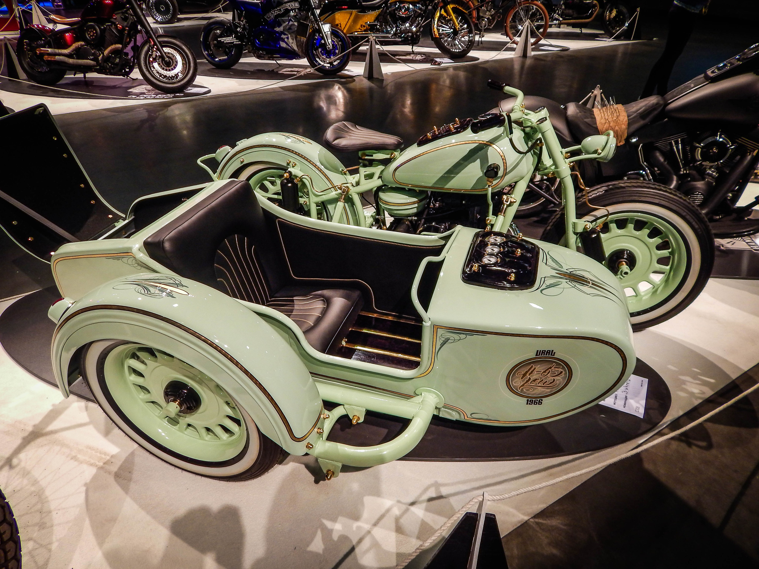 IMIS 2019. Александр Попов