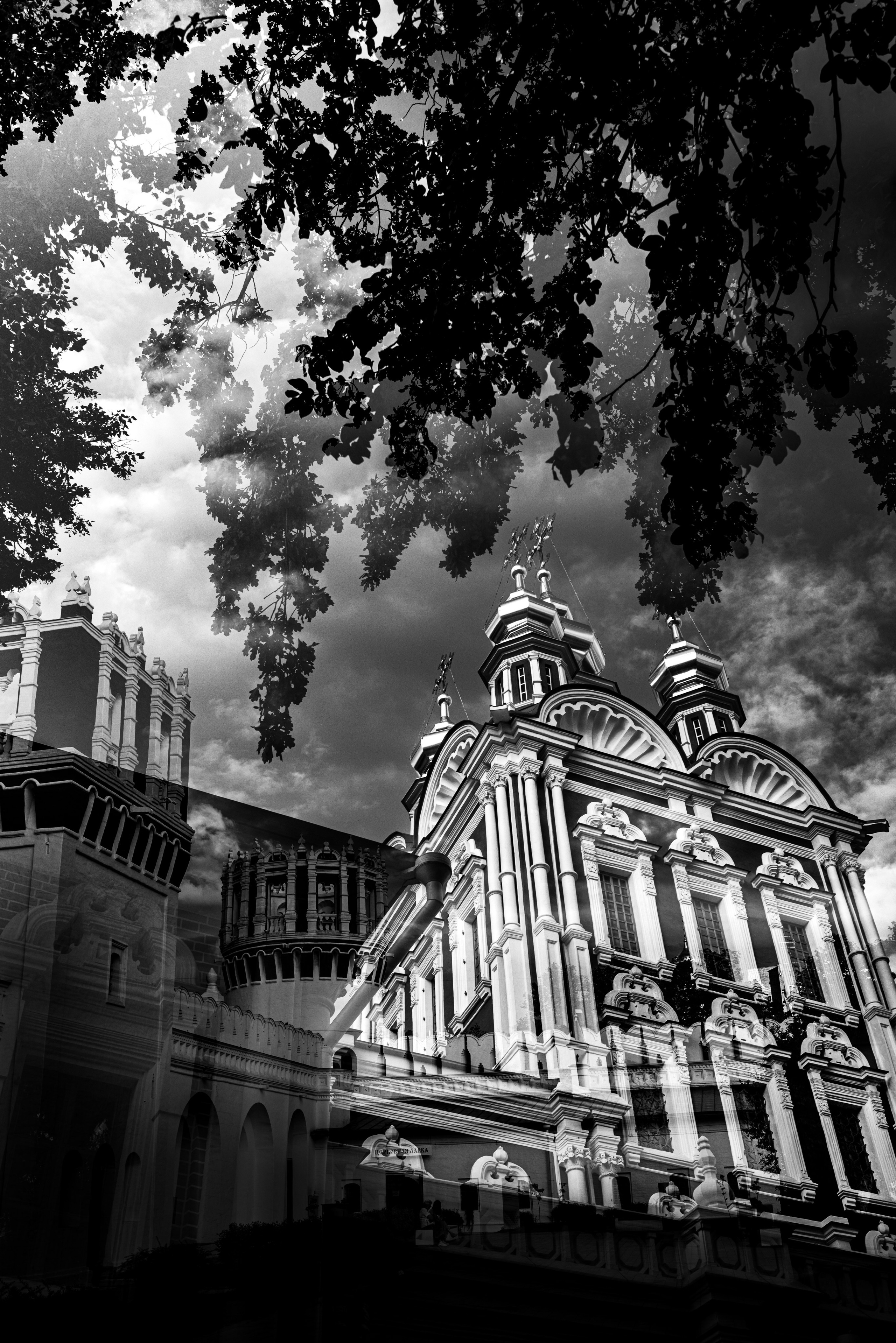 Москва. Новодевичий монастырь. Август 2025. Фотографирую жизнь! Московский фотограф волонтер