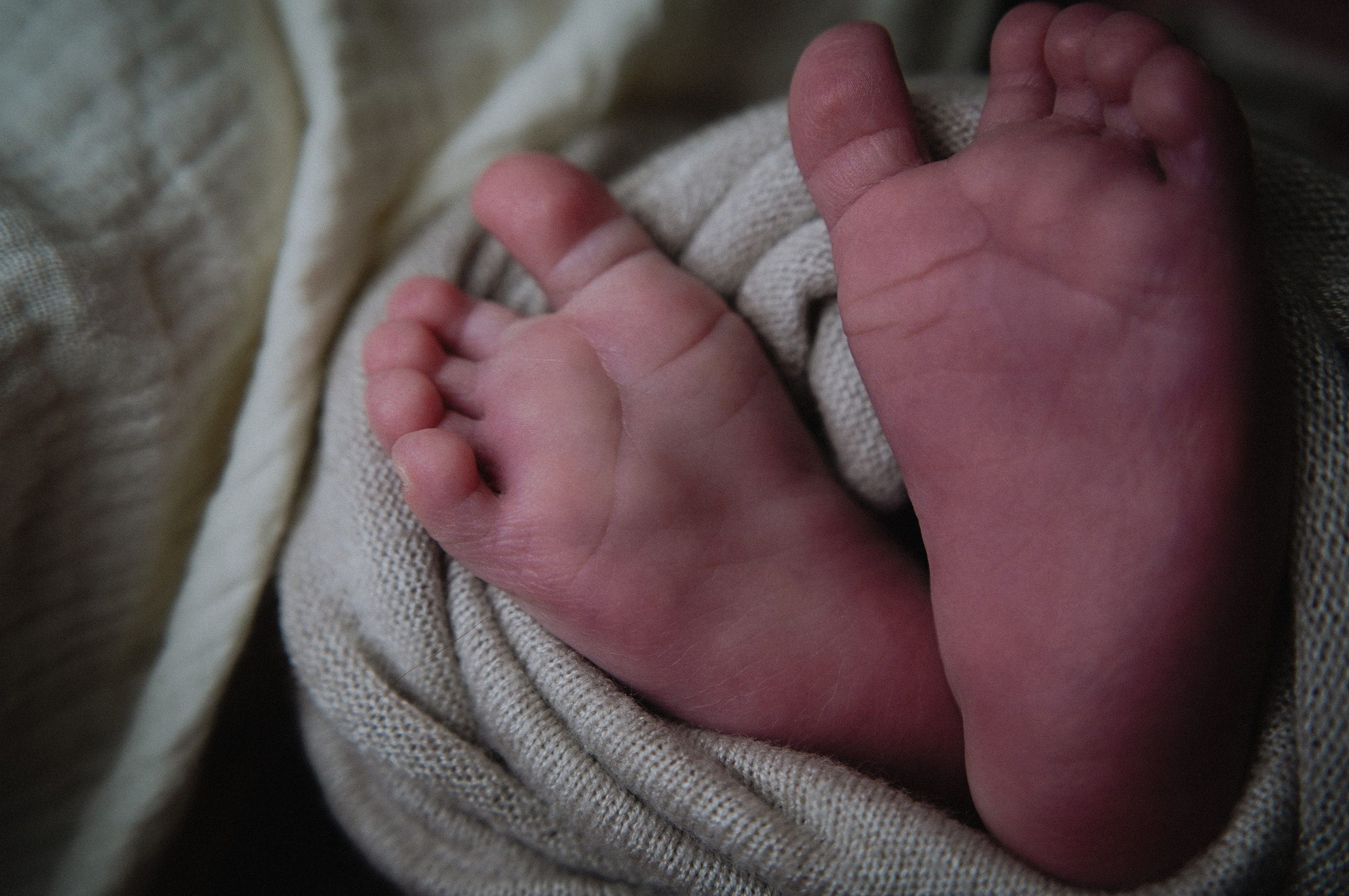 Давид. 04.02.2026. Фотограф СЕМЬИ и ДЕТСТВА в Краснодаре и Краснодарском крае Екатерина Москат