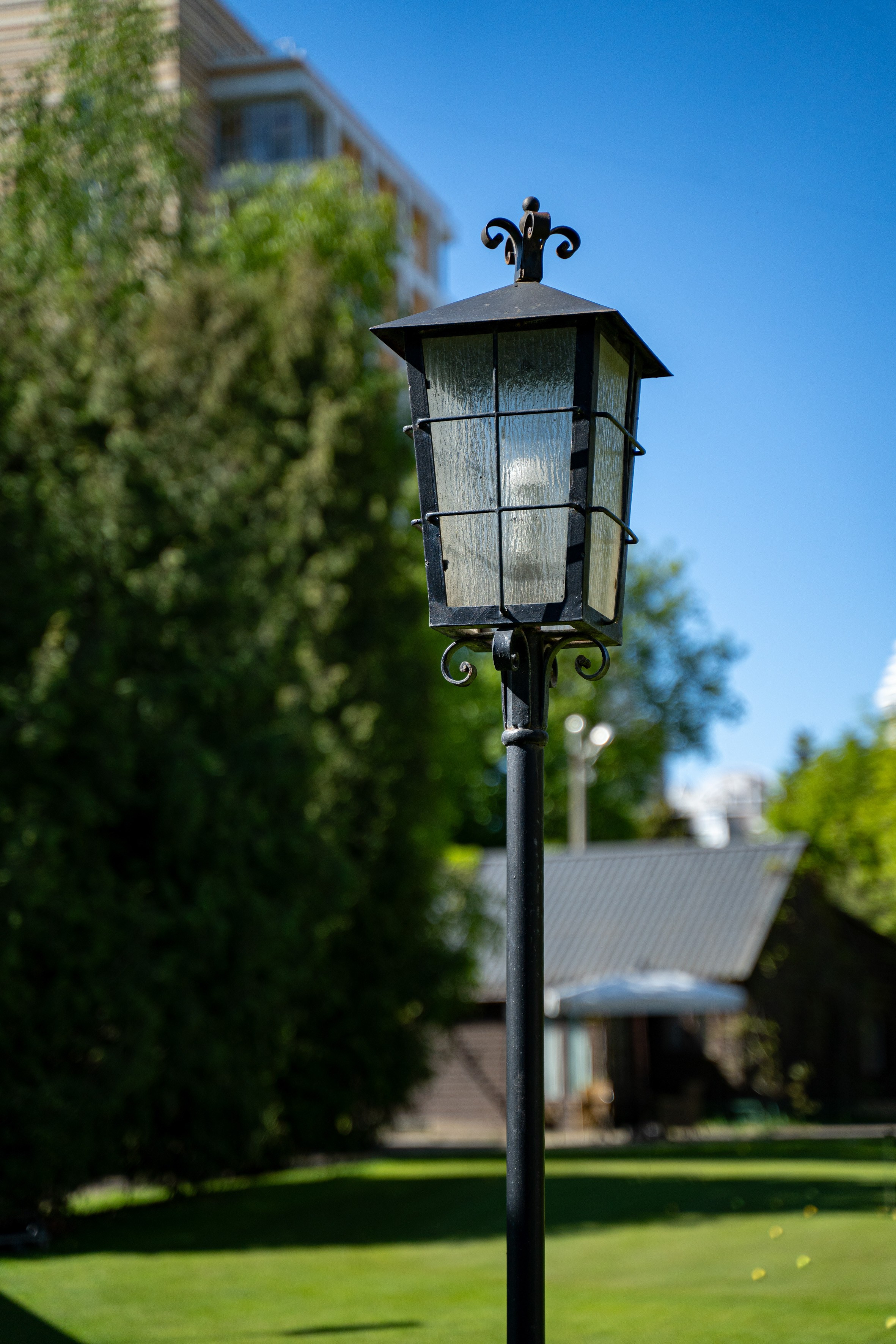 Гольф. Фотограф-видеограф Александр Корнев