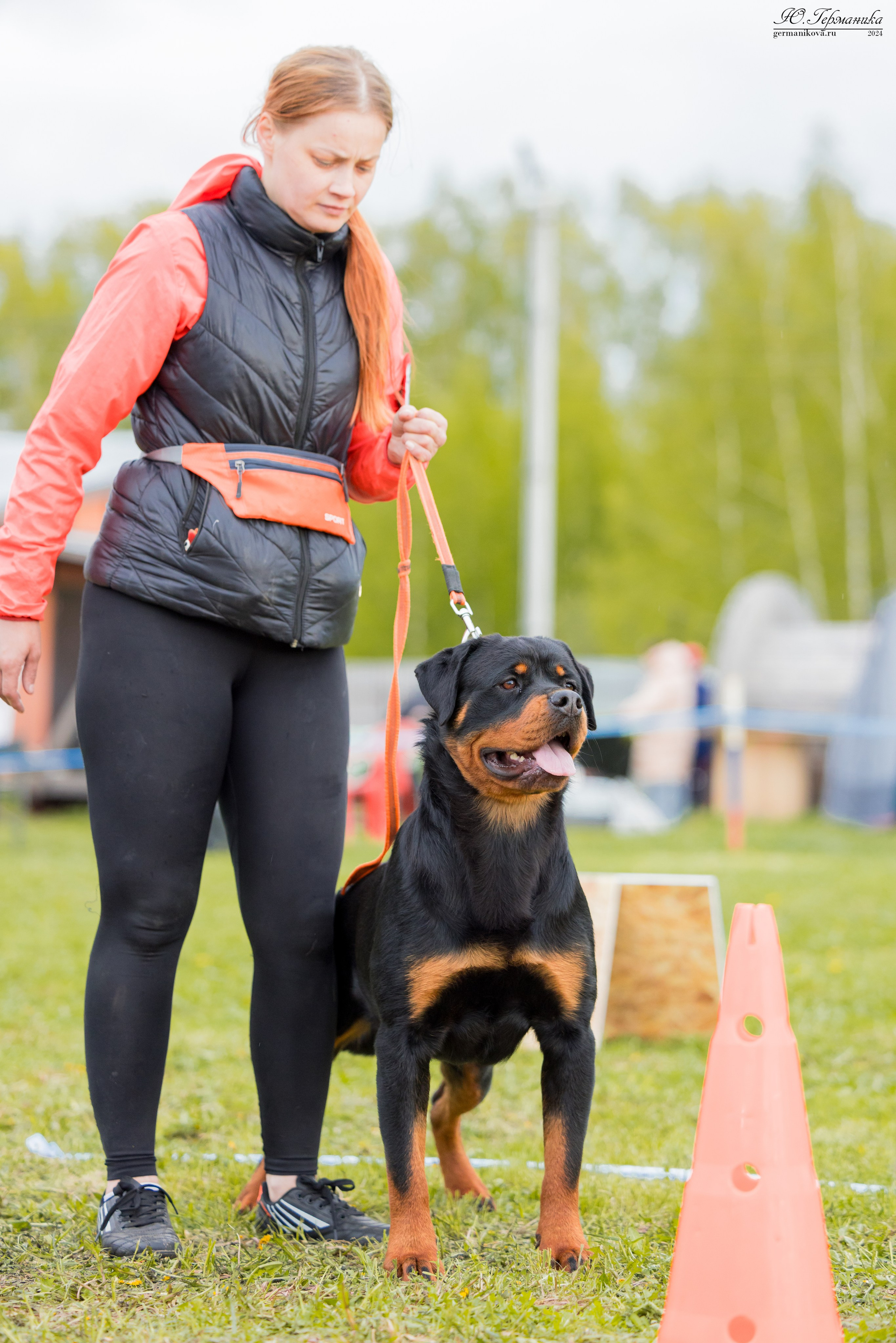 Нижний Новгород 11-12.05.2024 моно ротвейлеров. Фотограф-анималист Юлия Германика