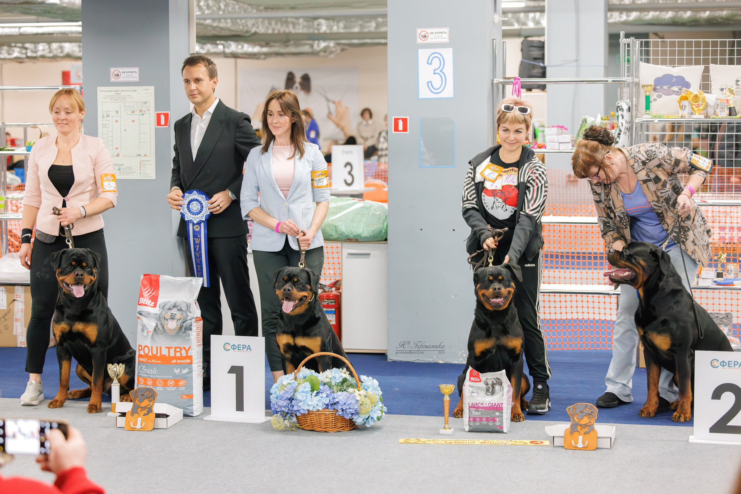 Сфера и Крокус 8,9,16 и 30.03.2025. Фотограф-анималист Юлия Германика