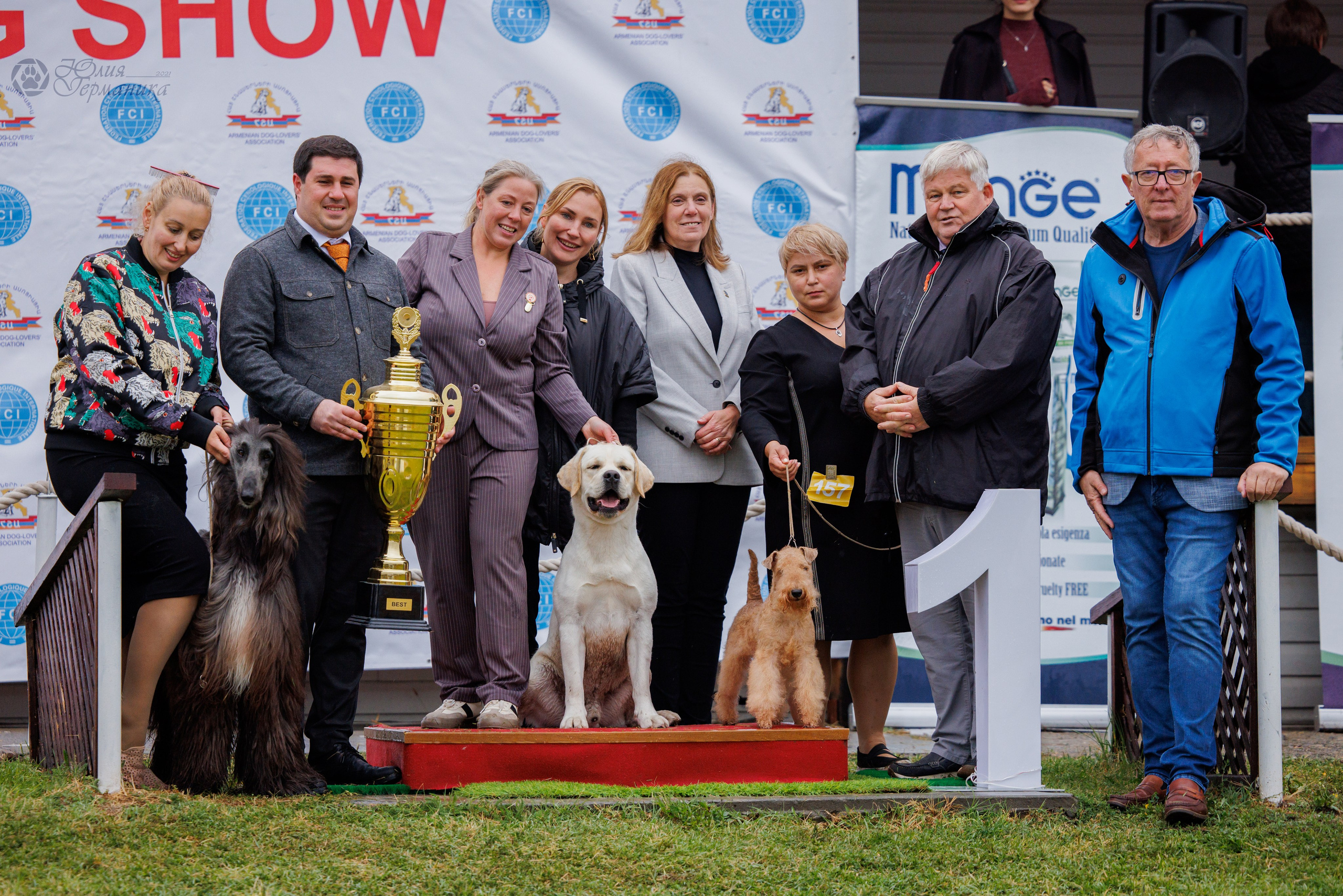 Армения,Ереван 3хCACIB 15-17.10.2024. Фотограф-анималист Юлия Германика